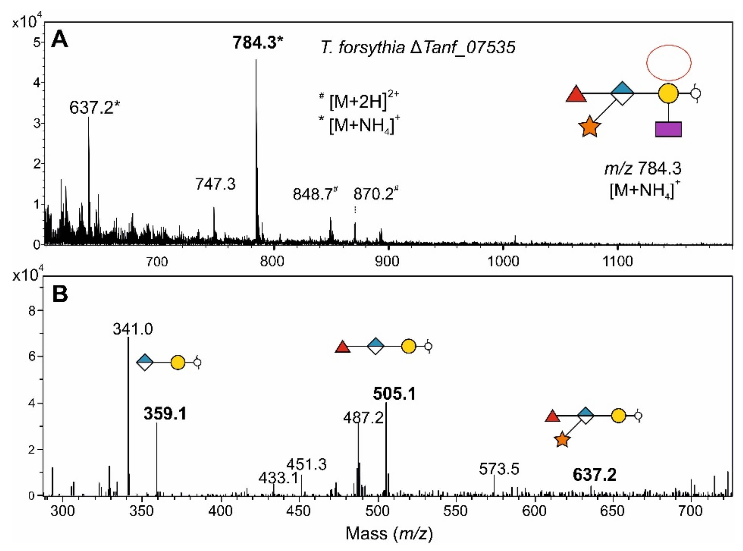 Biomolecules 11 01795 g010