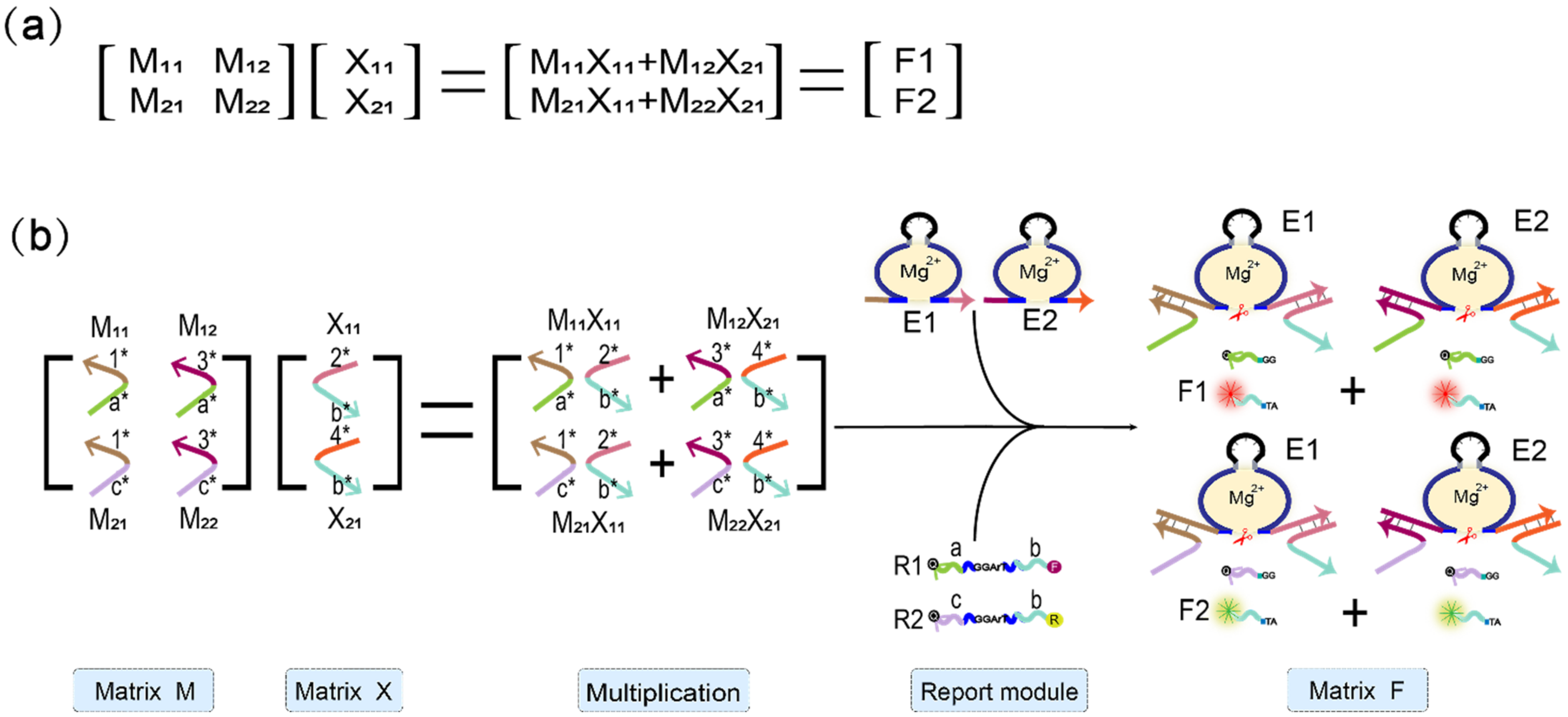 Biomolecules 11 01797 g004 Biomolecules 11 01797 g004