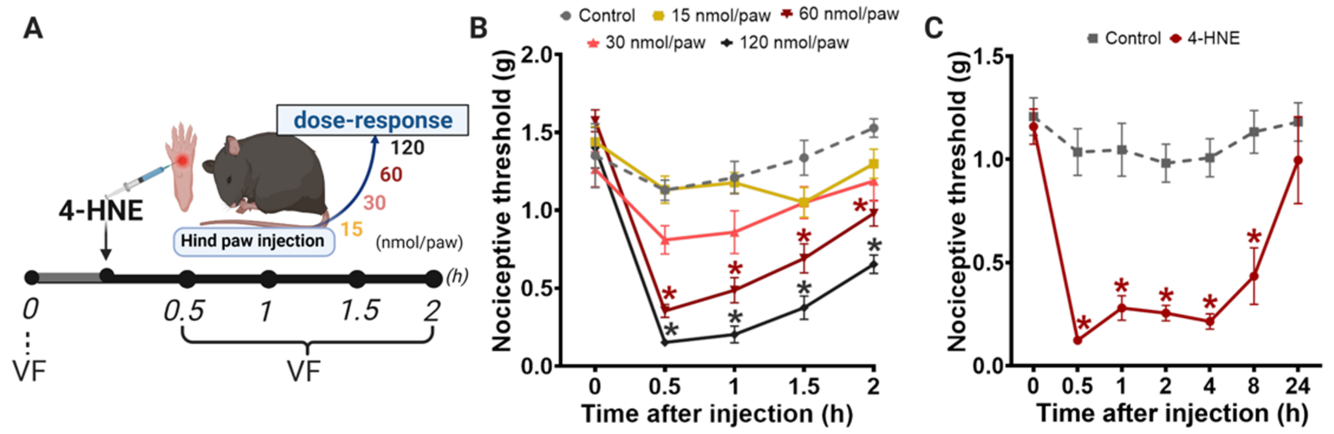 Biomolecules 11 01798 g001 Biomolecules 11 01798 g001