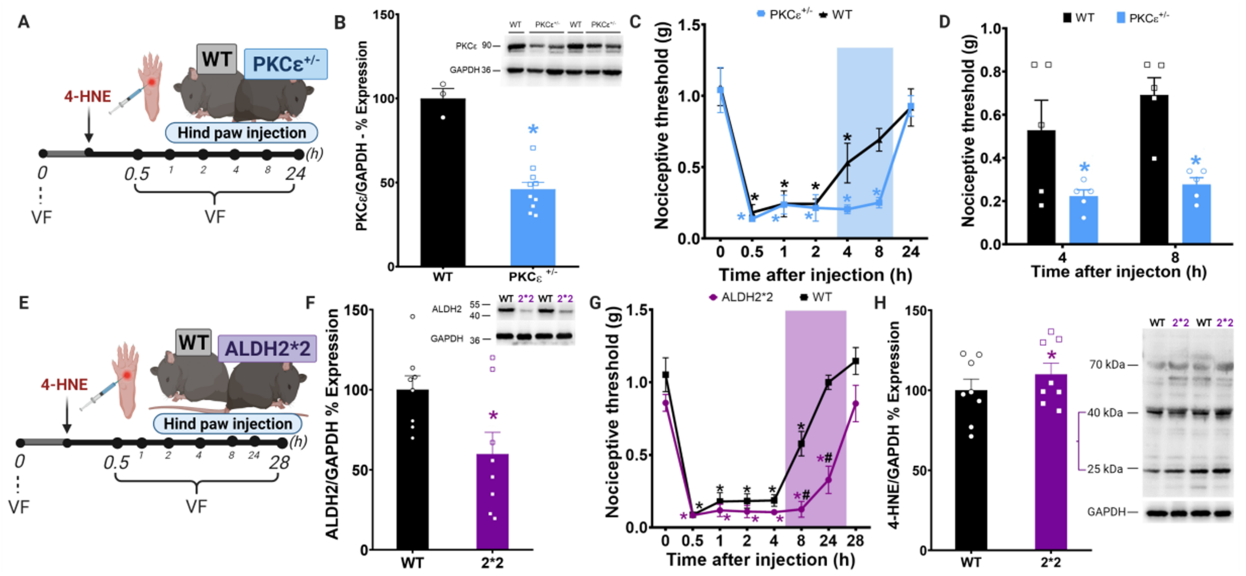 Biomolecules 11 01798 g002 Biomolecules 11 01798 g002