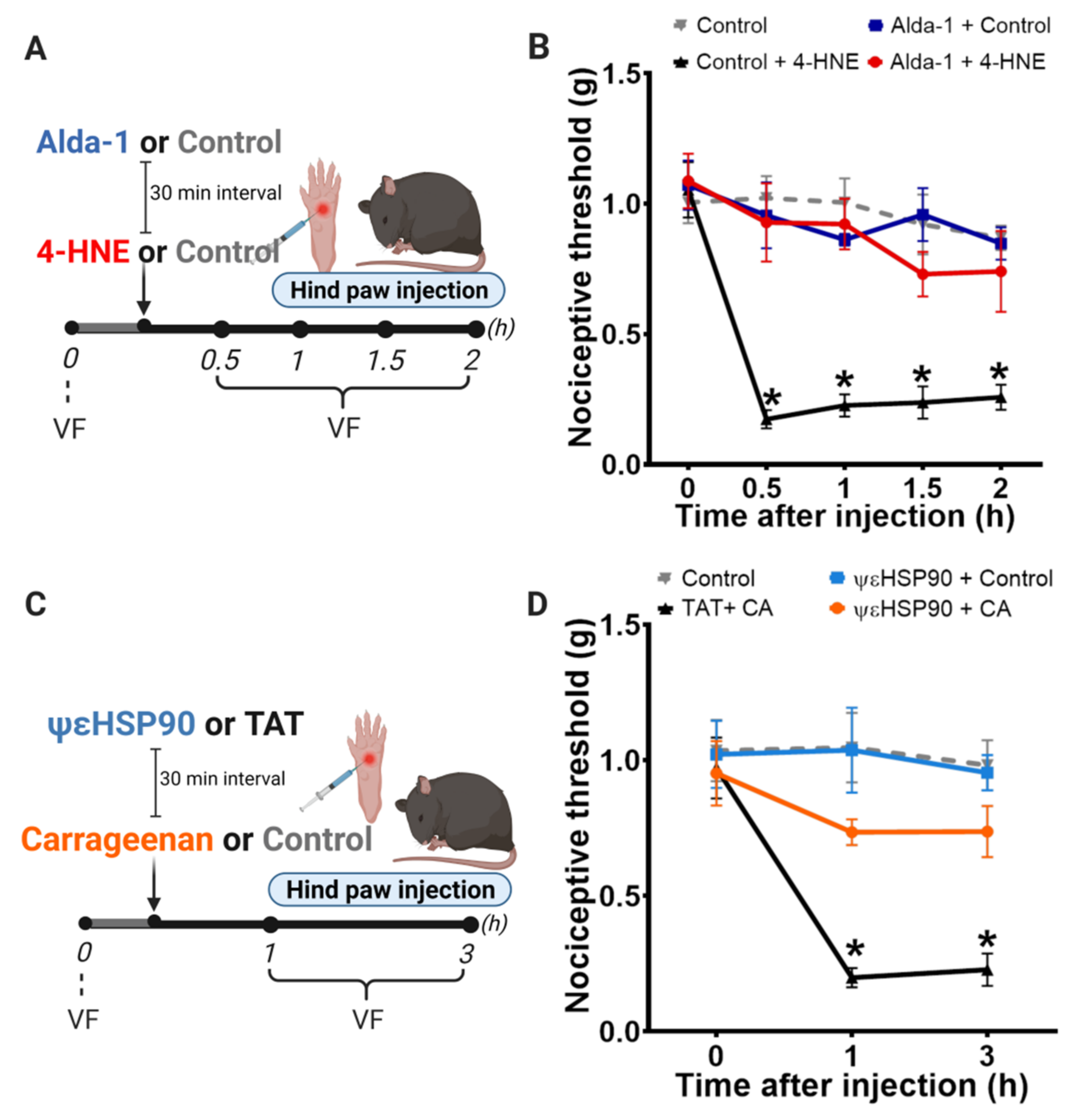 Biomolecules 11 01798 g004 Biomolecules 11 01798 g004
