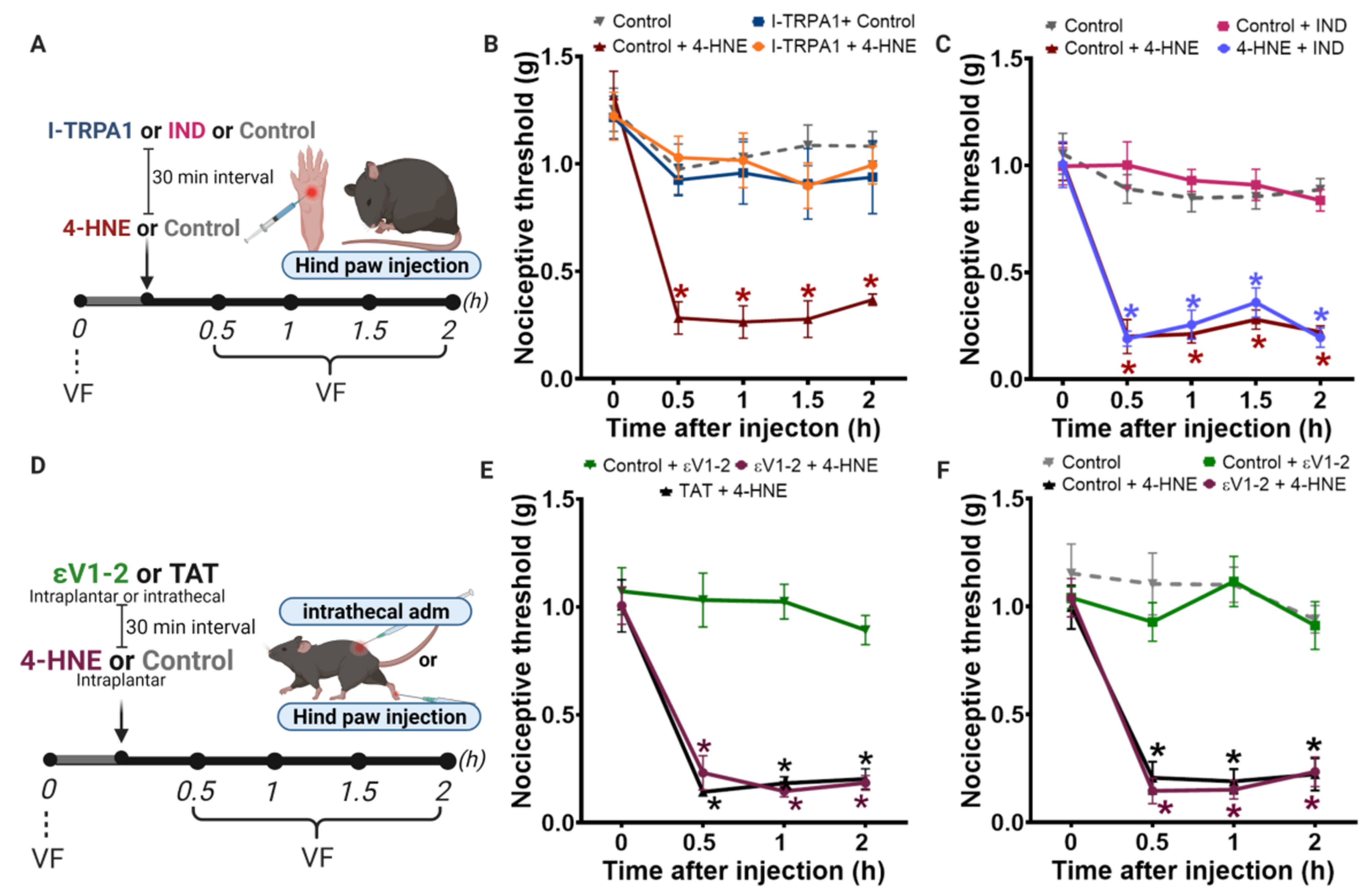 Biomolecules 11 01798 g005 Biomolecules 11 01798 g005