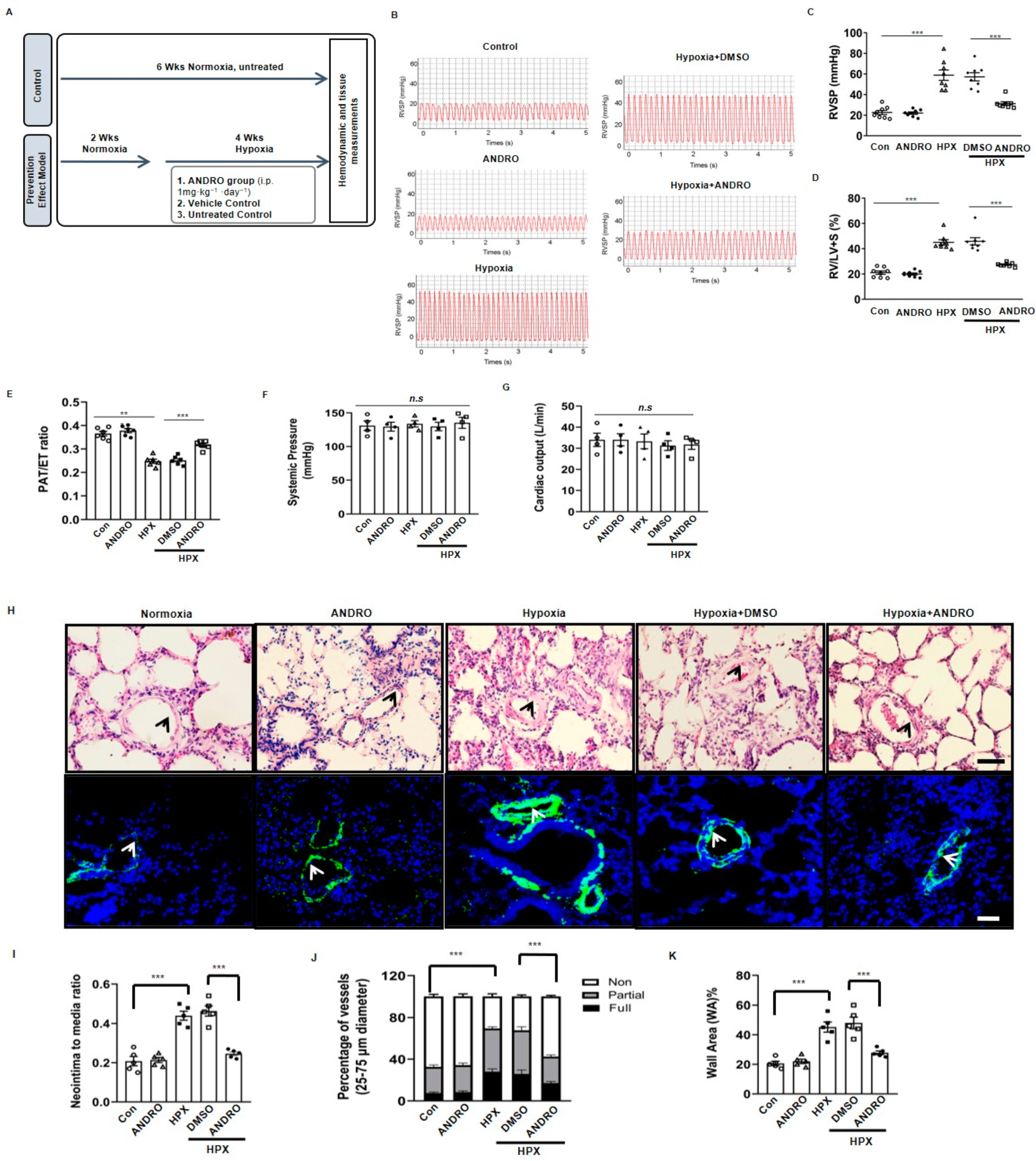 Biomolecules 11 01801 g001