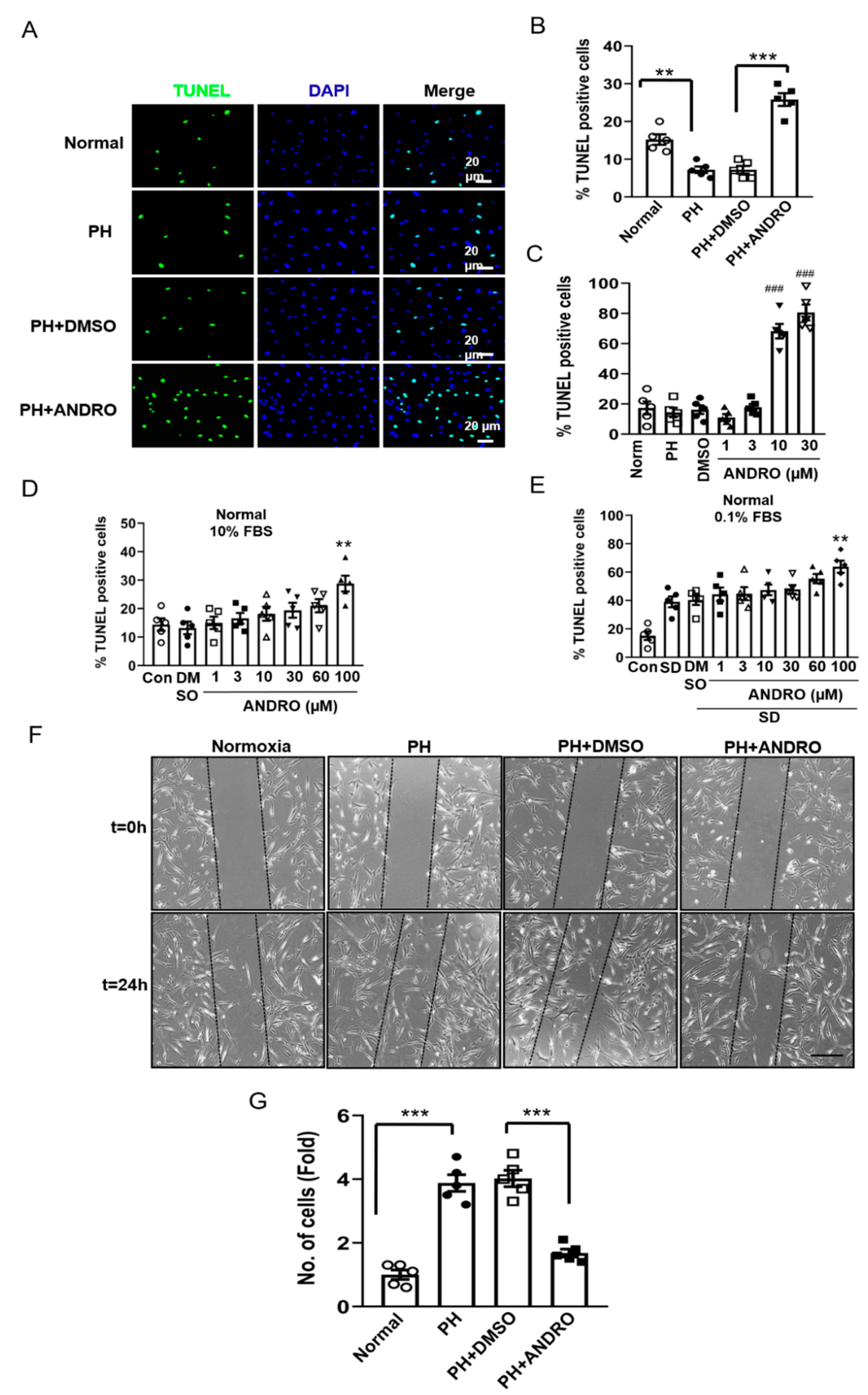 Biomolecules 11 01801 g004
