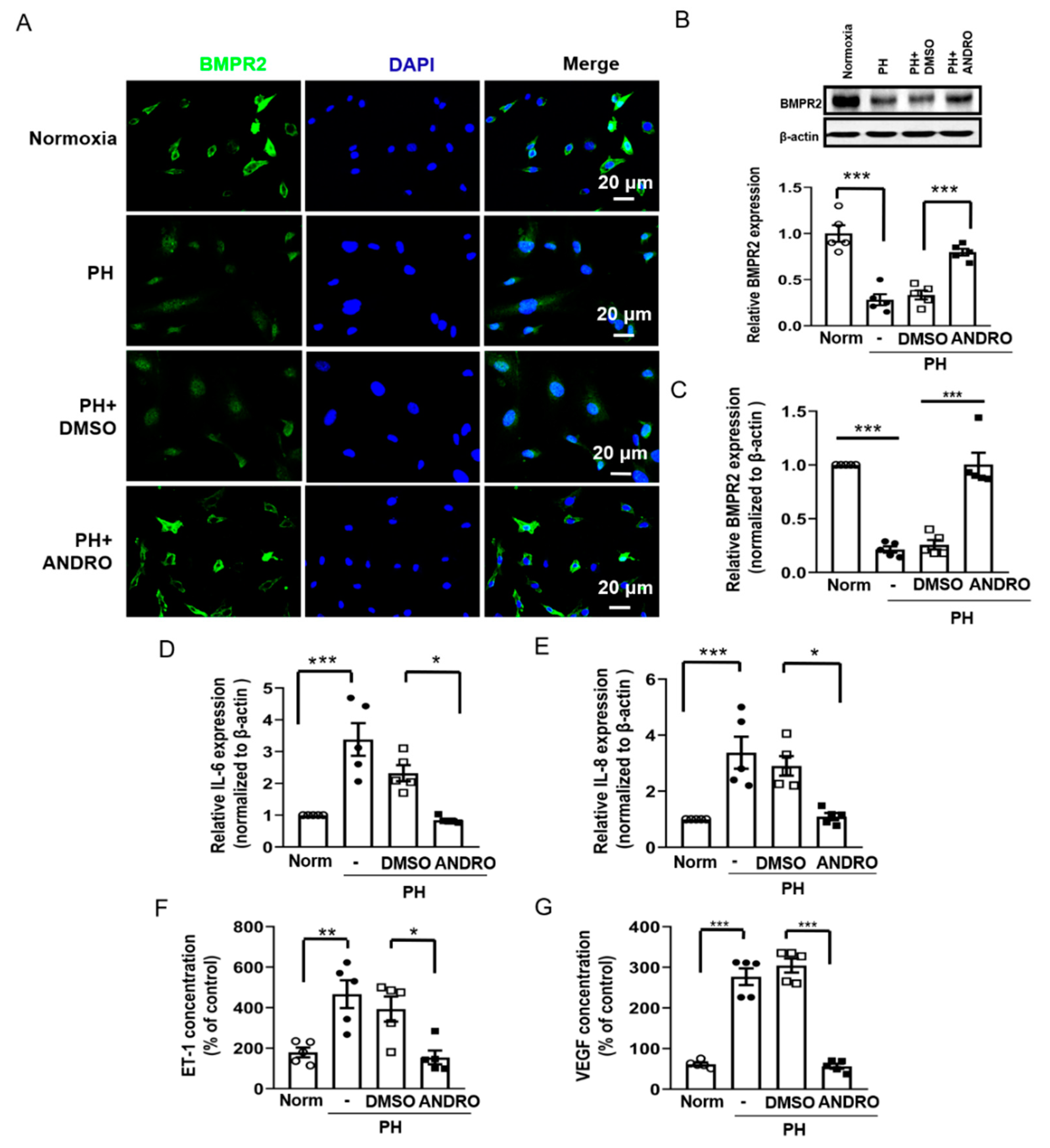 Biomolecules 11 01801 g006