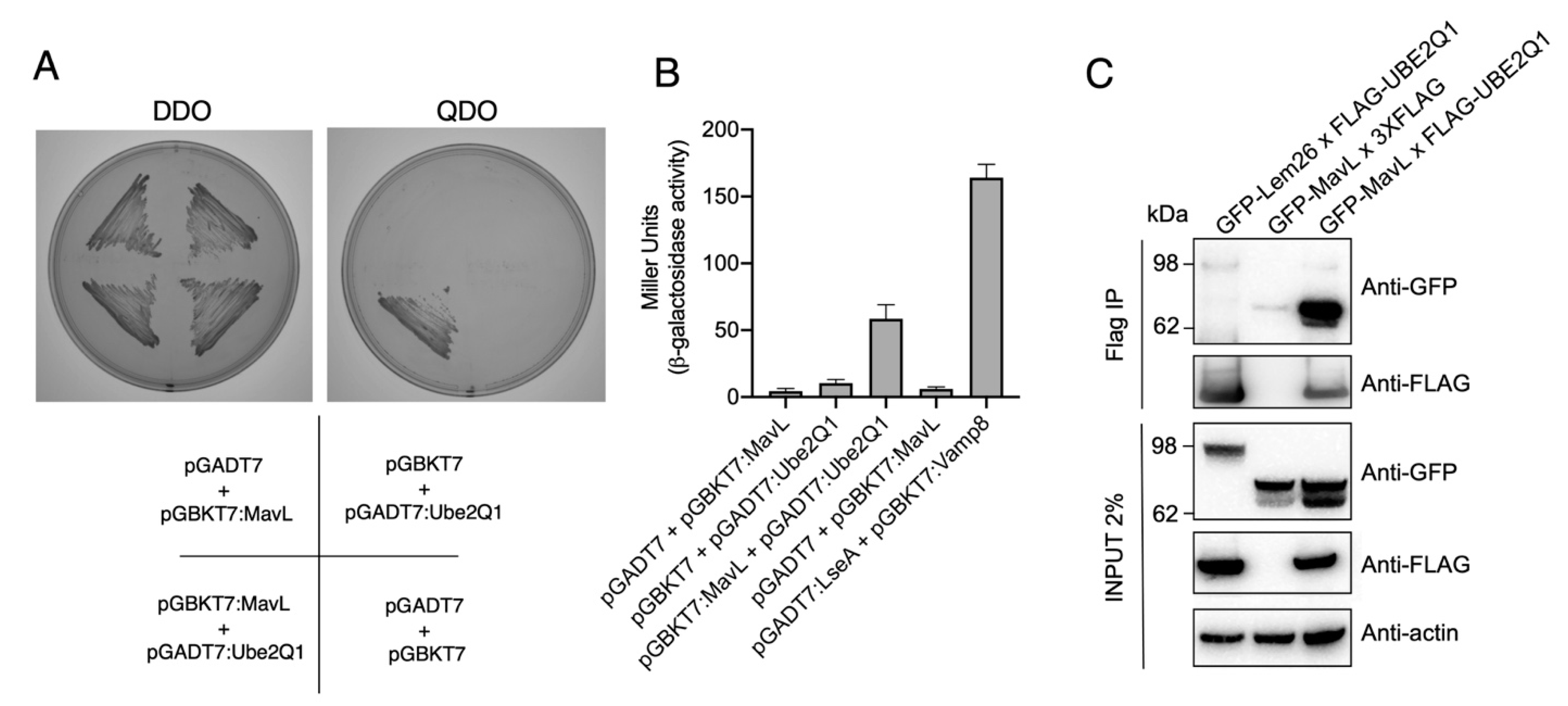 Biomolecules 11 01802 g002 550