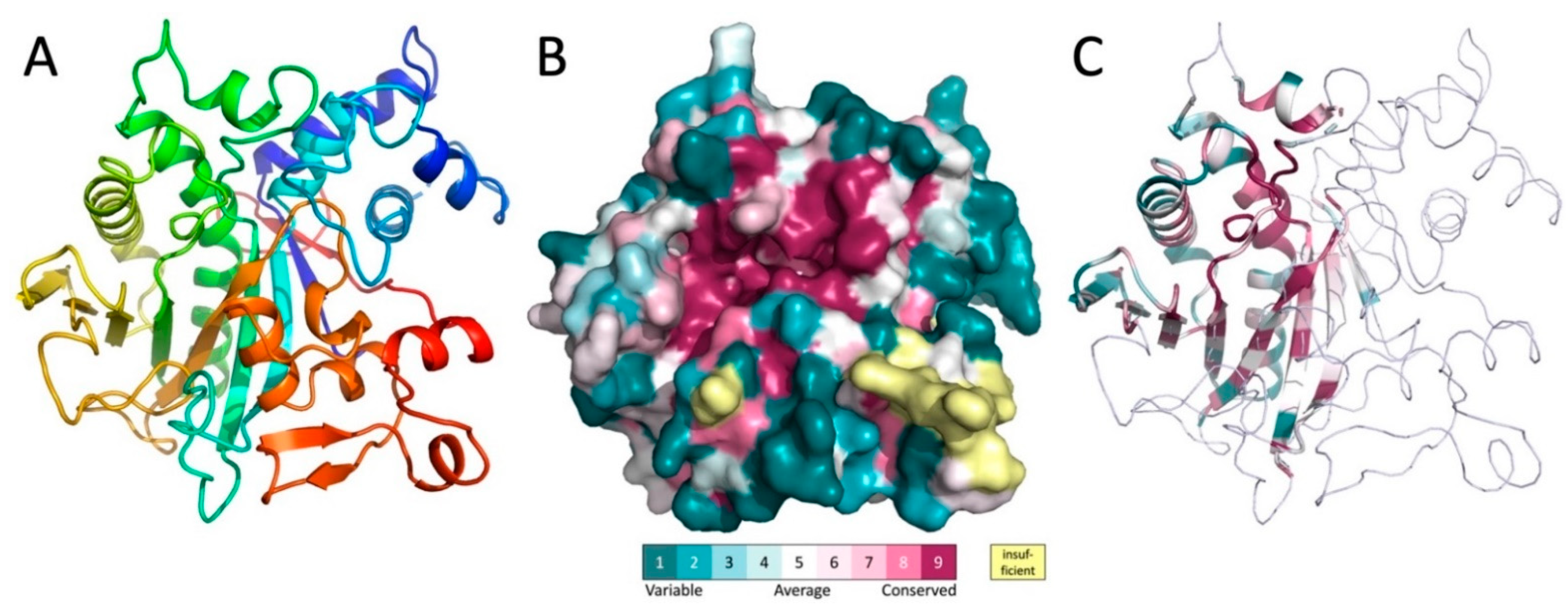Biomolecules 11 01802 g003 550