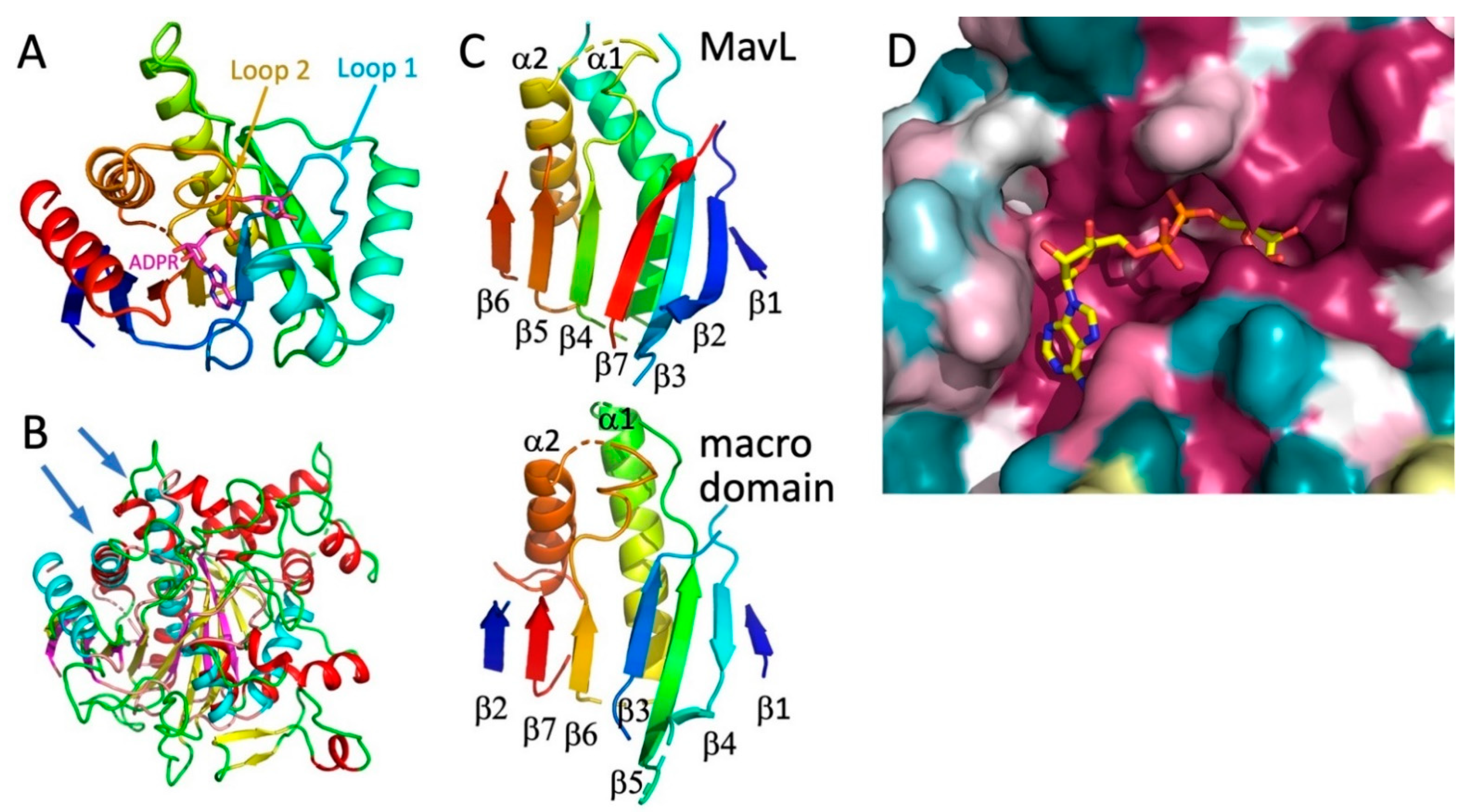 Biomolecules 11 01802 g004 550