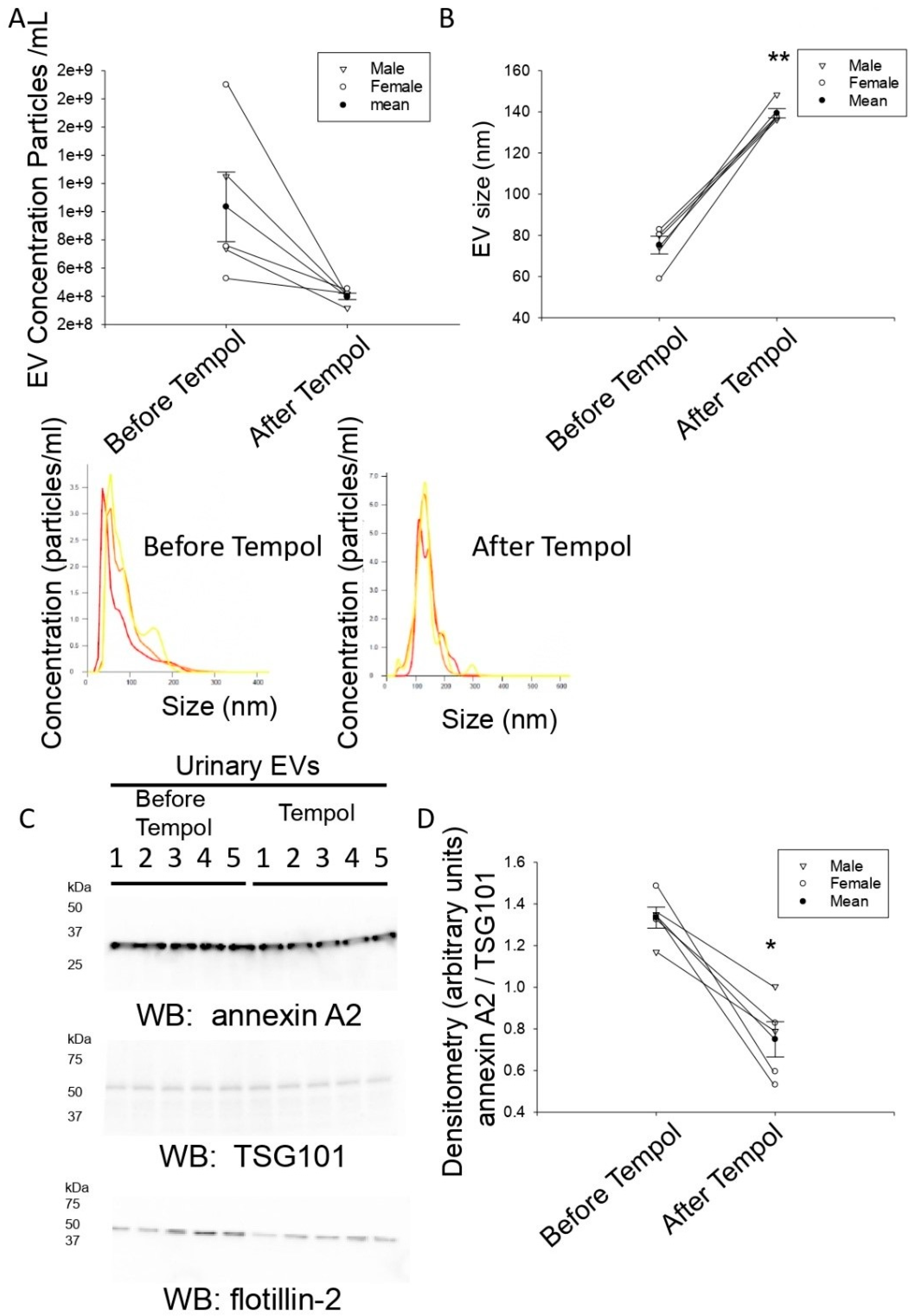 Biomolecules 11 01804 g002