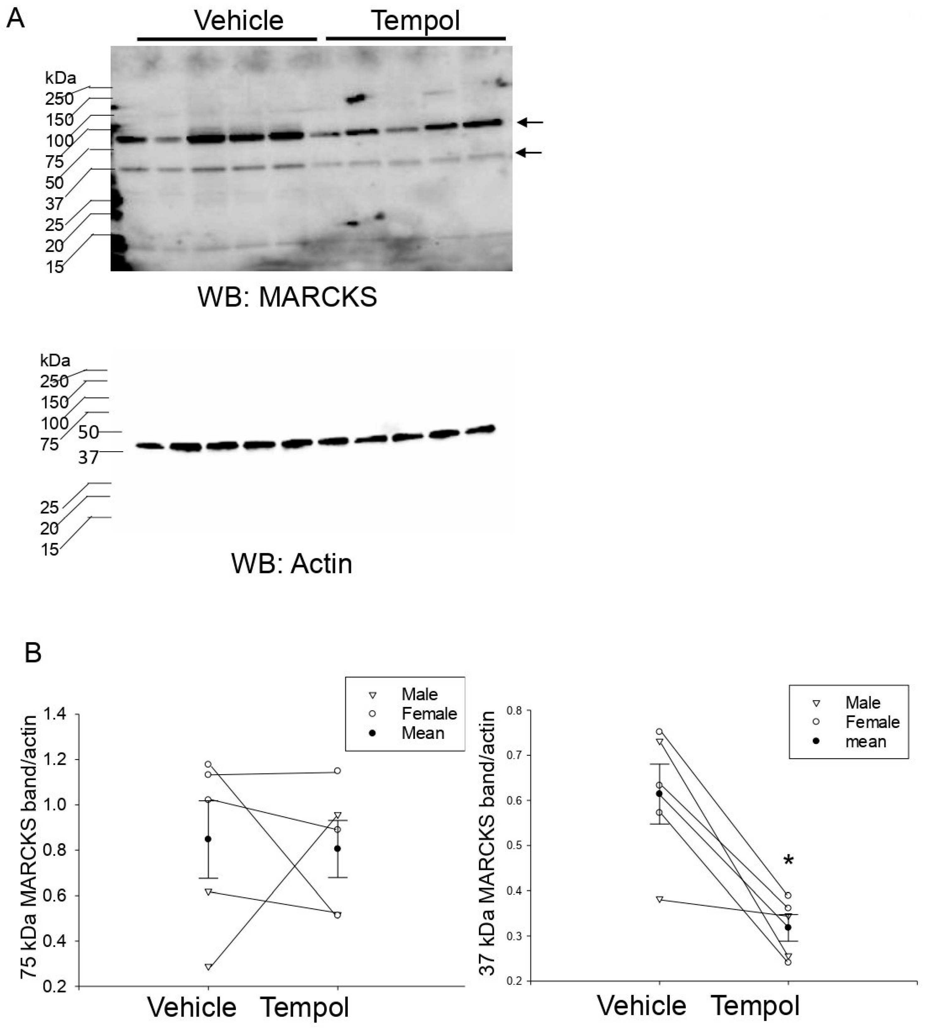 Biomolecules 11 01804 g007