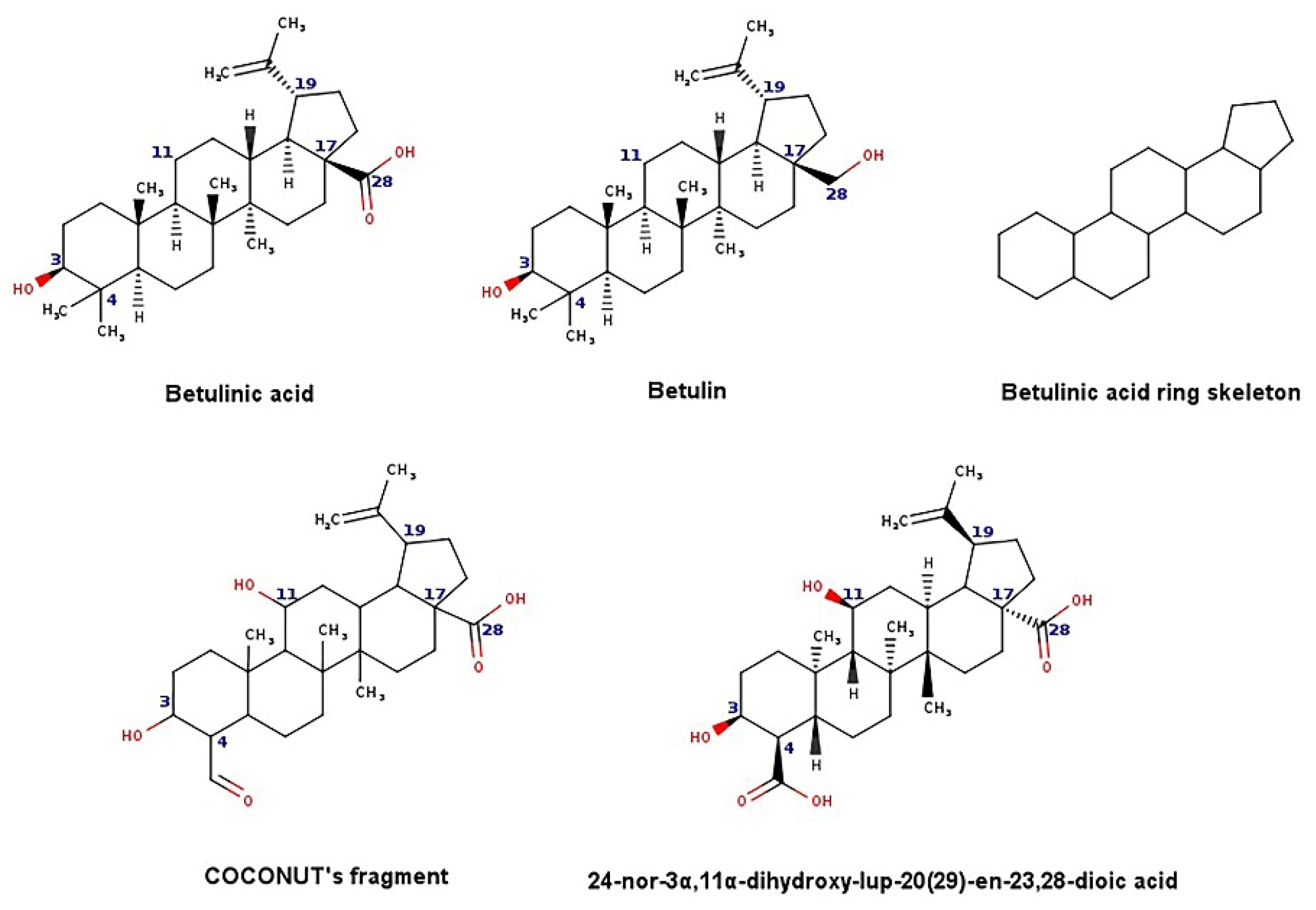 Biomolecules 11 01805 g004