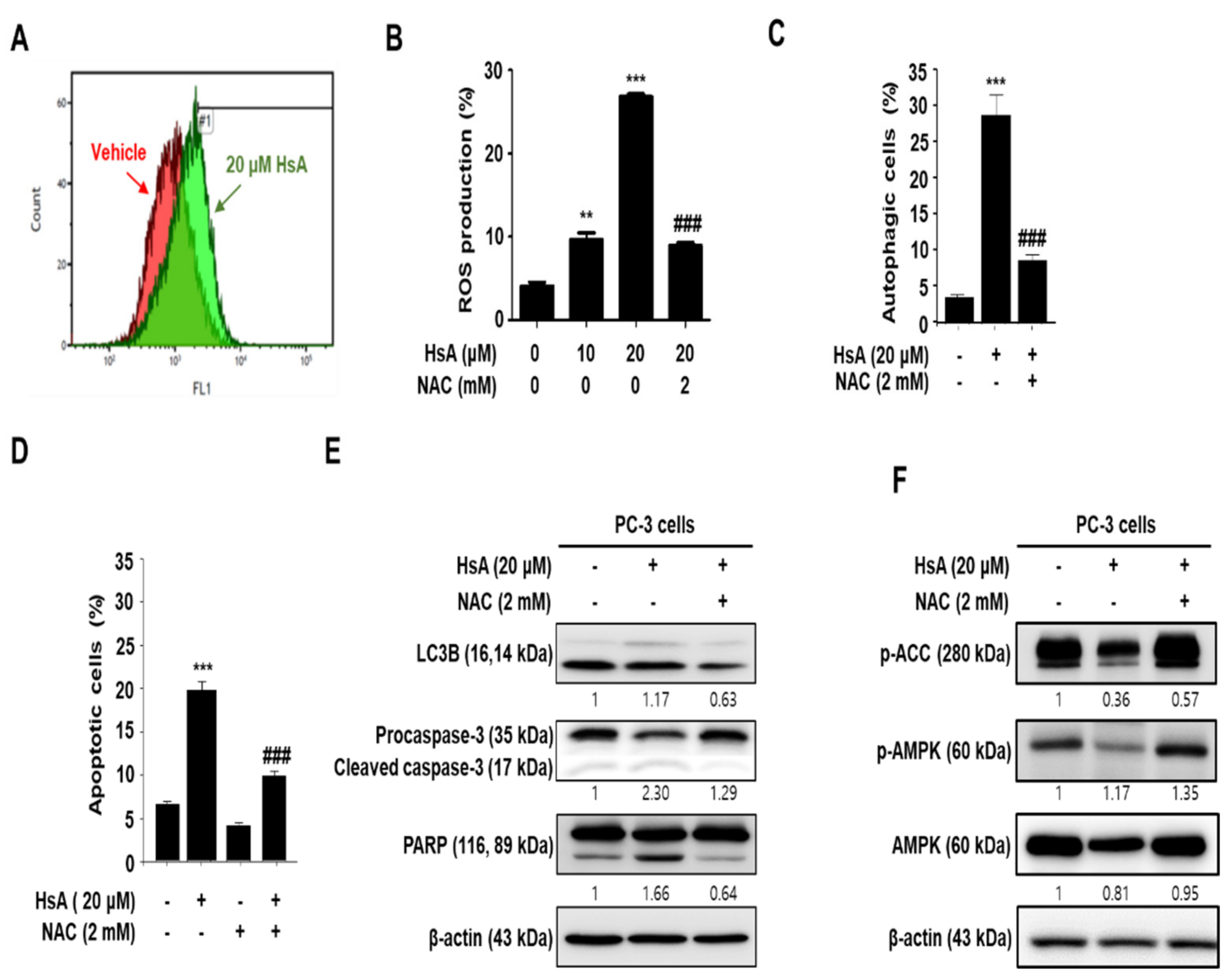 Biomolecules 11 01806 g005 550