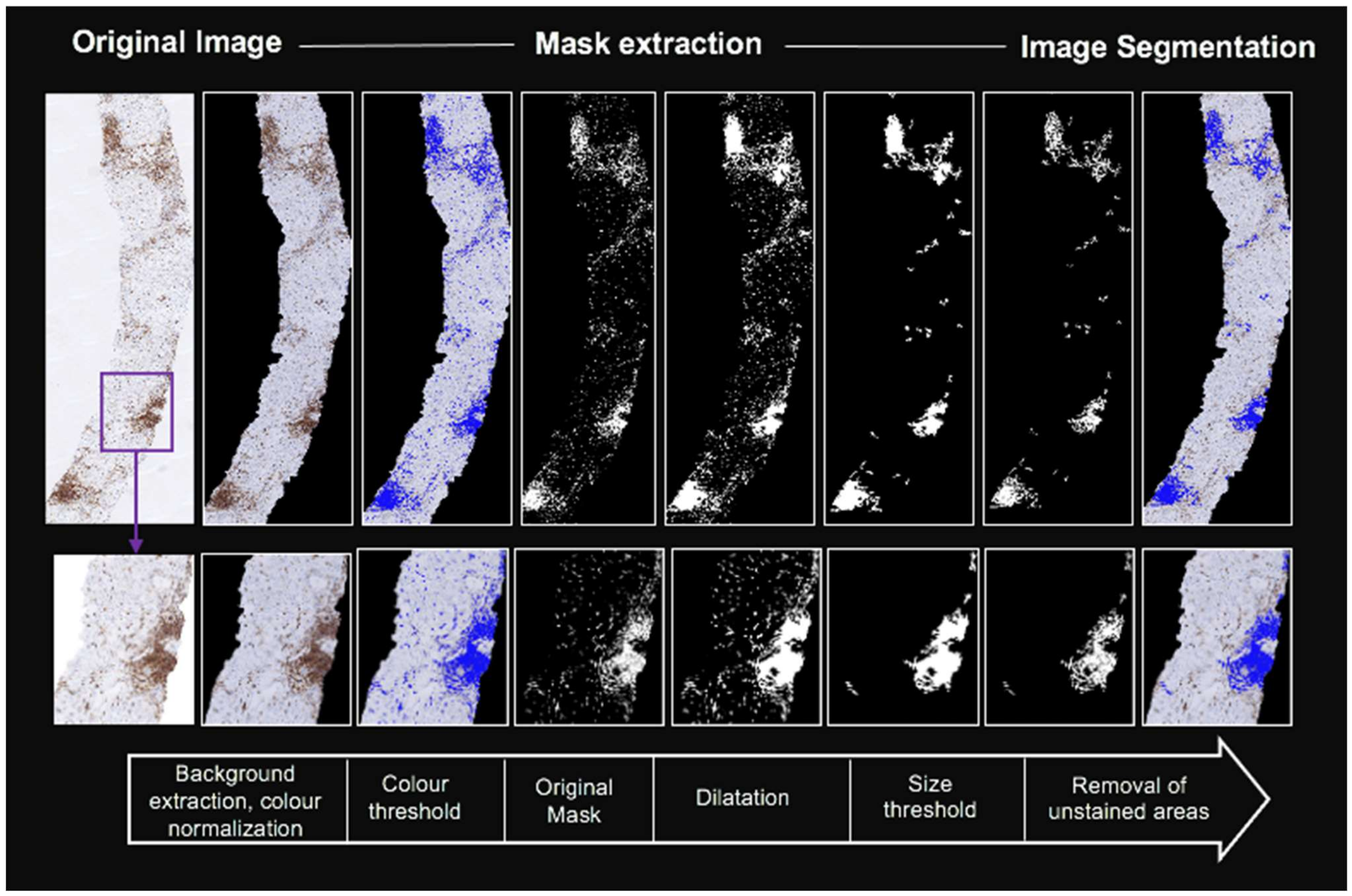 Biomolecules 11 01808 g001 550