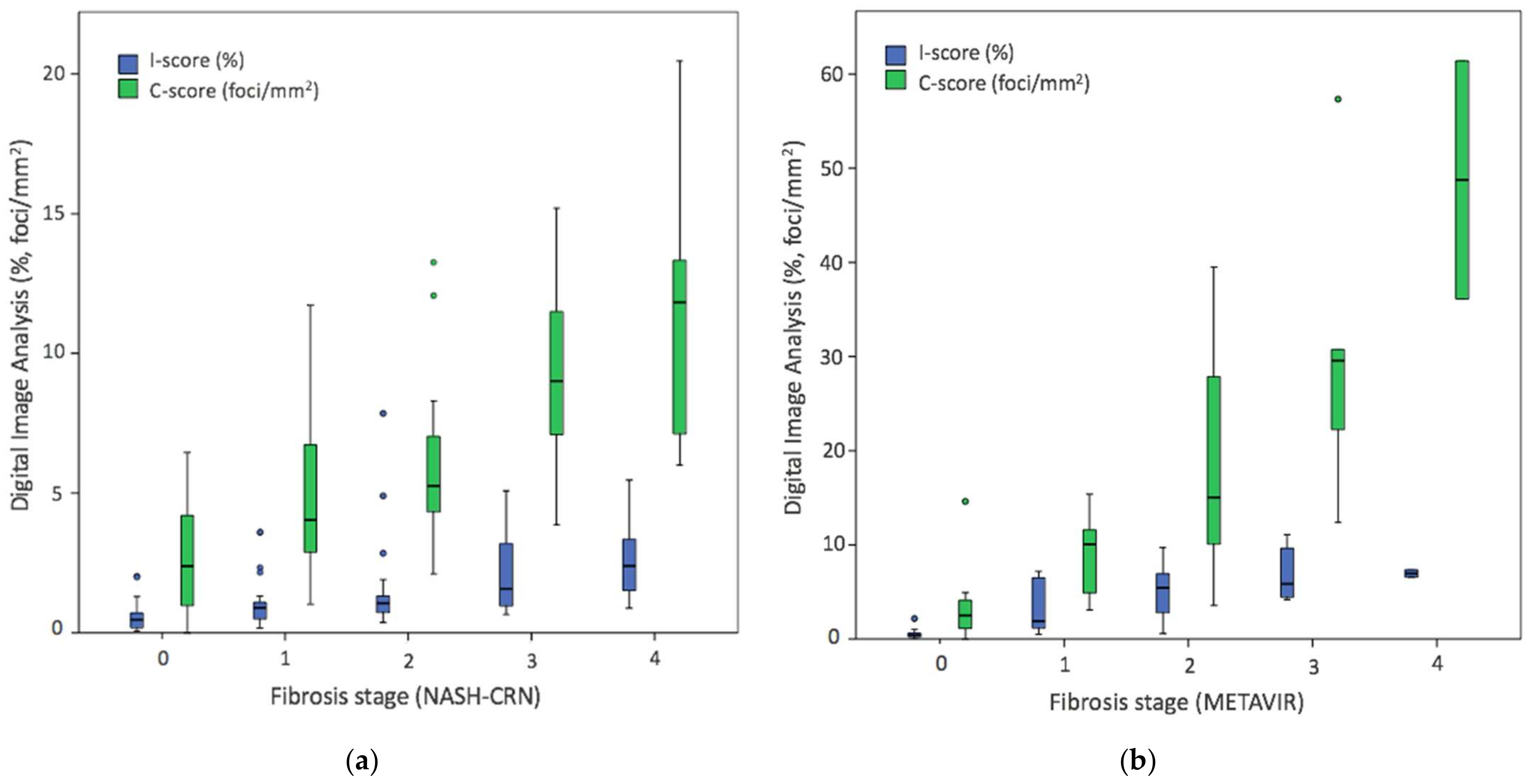 Biomolecules 11 01808 g004 550