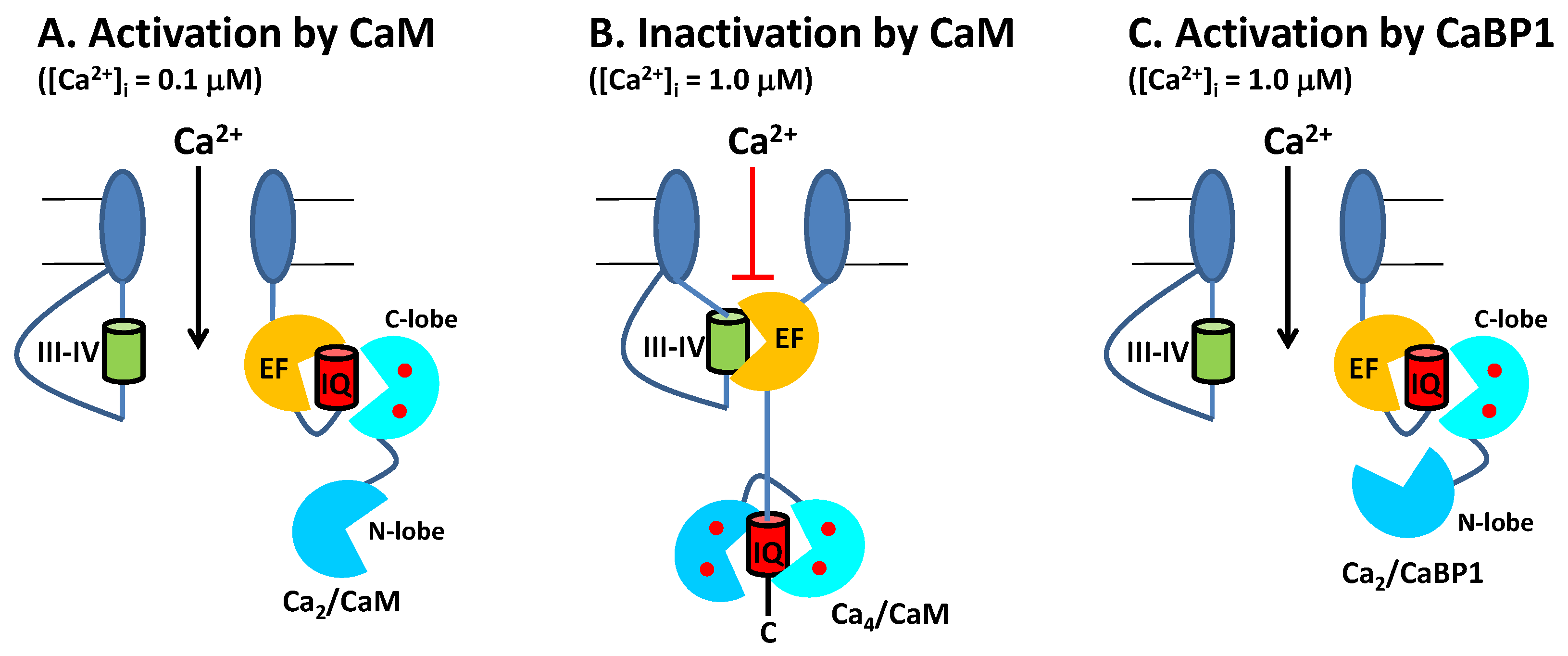 Biomolecules 11 01811 g005