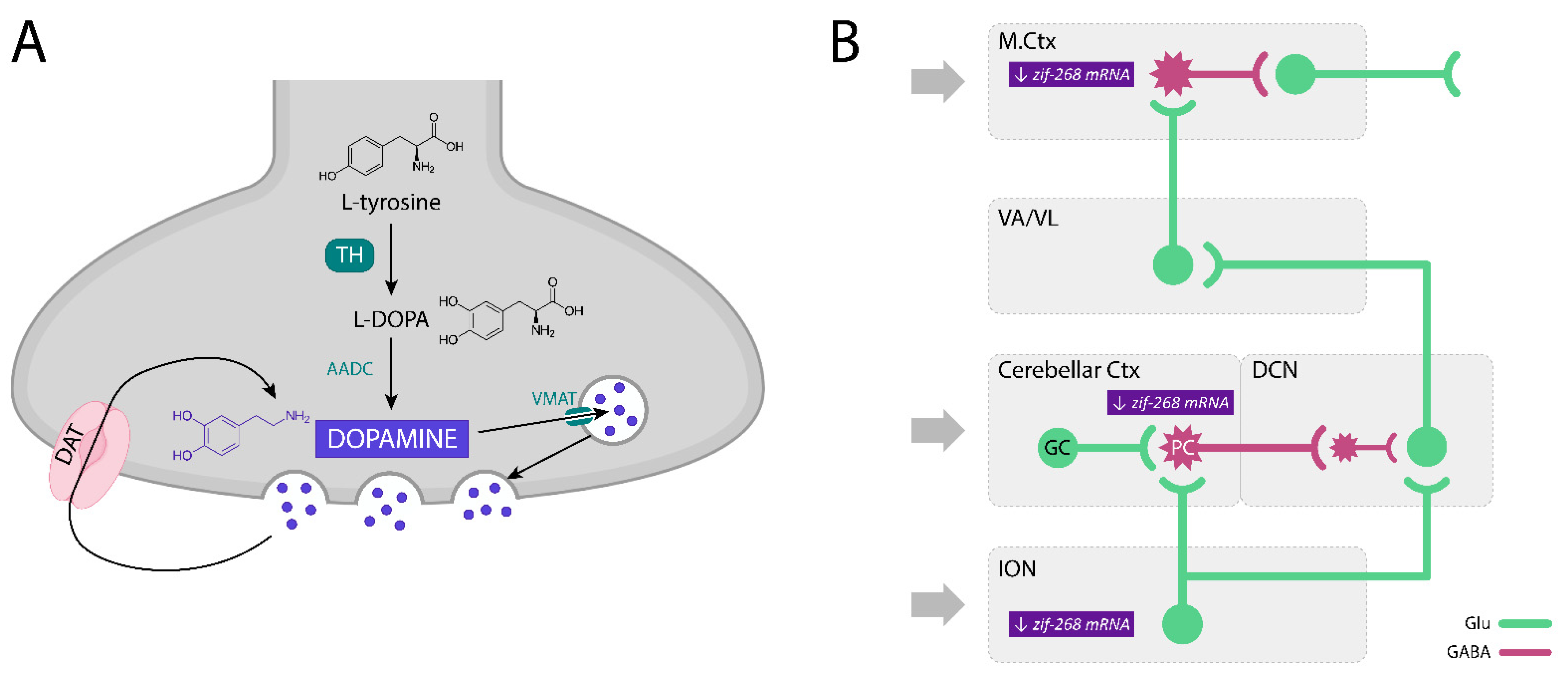 Biomolecules 11 01813 g002 Biomolecules 11 01813 g002