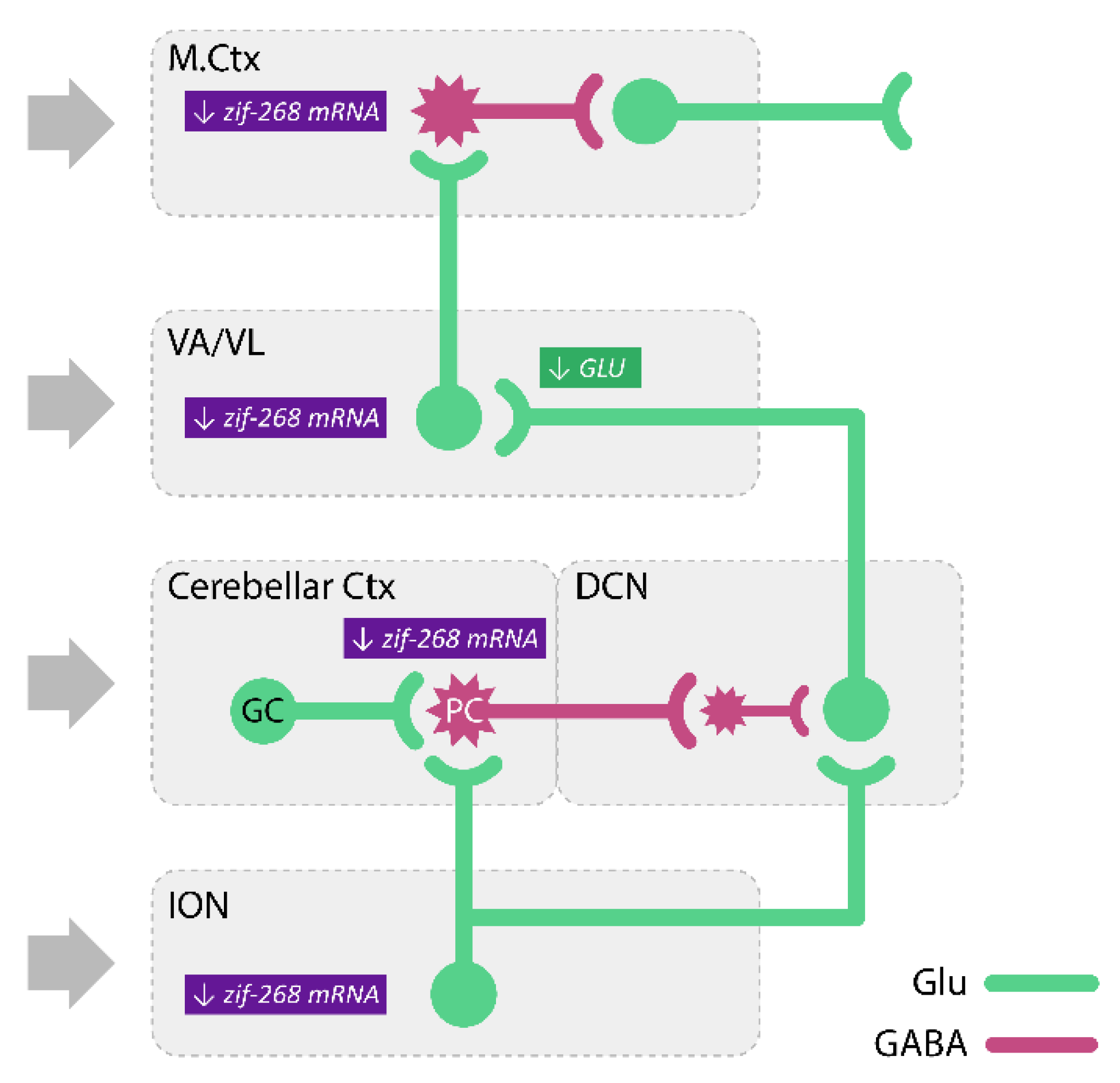 Biomolecules 11 01813 g004 Biomolecules 11 01813 g004