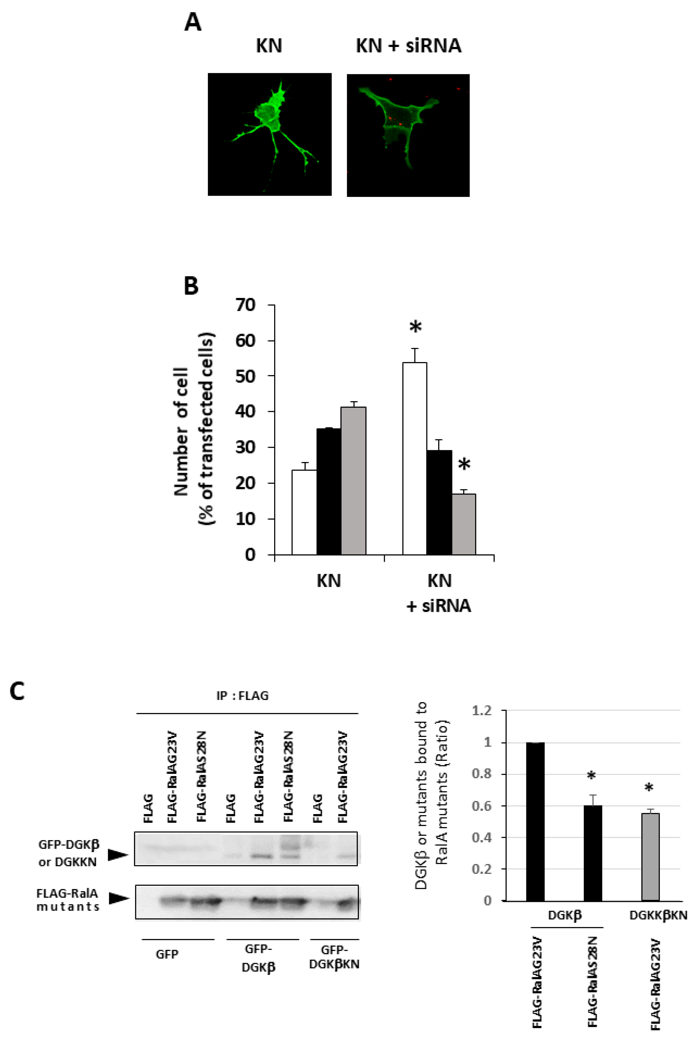 Biomolecules 11 01814 g004 550