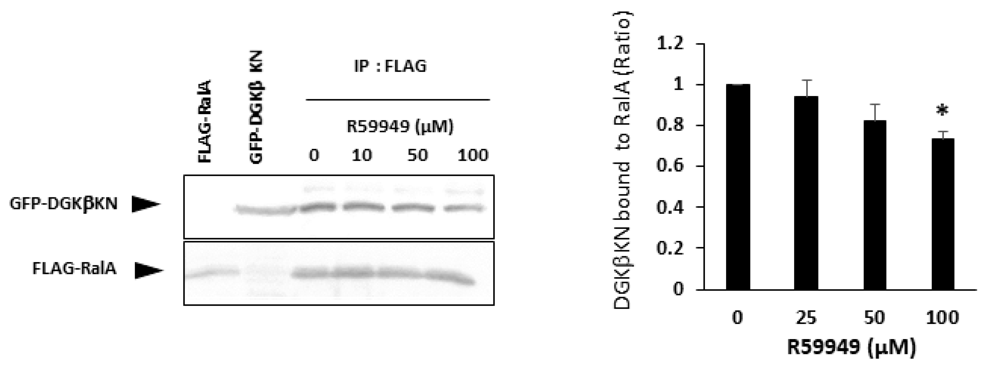 Biomolecules 11 01814 g007 550