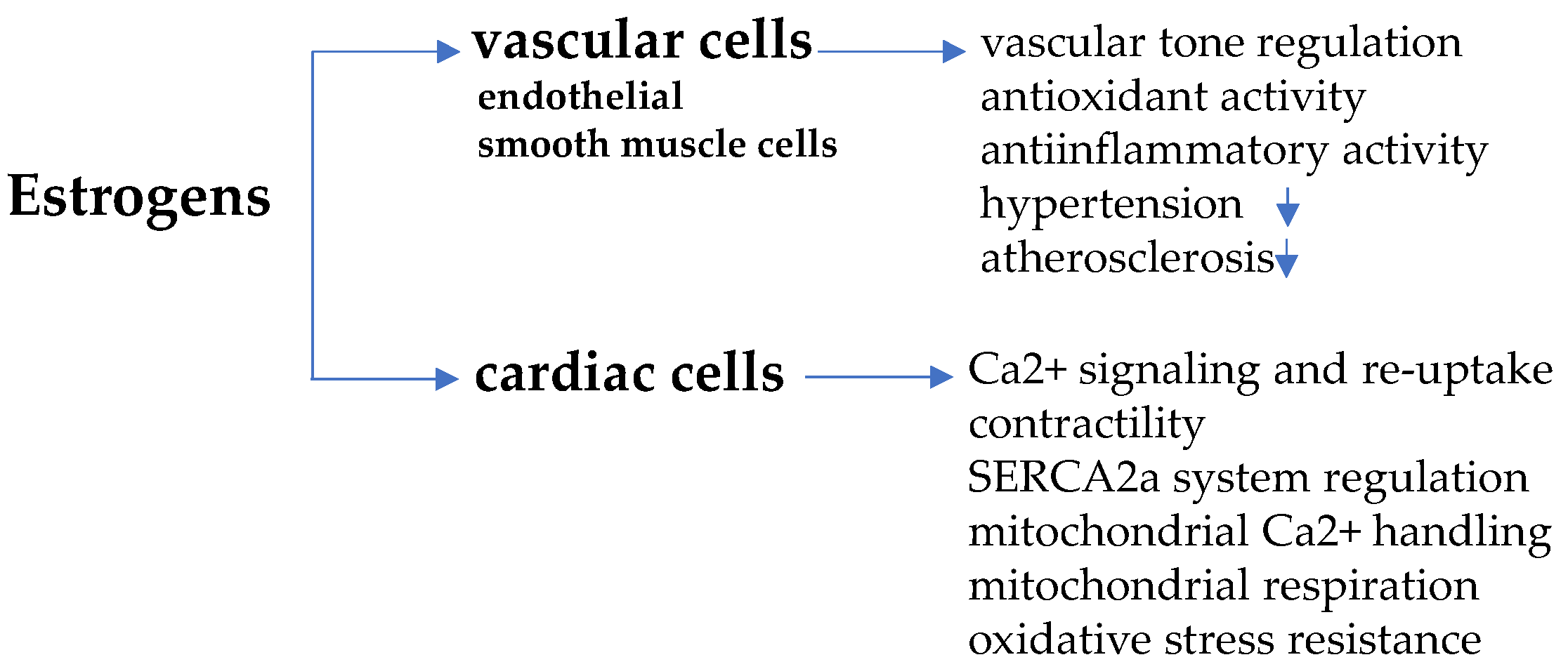 Biomolecules 11 01815 g001