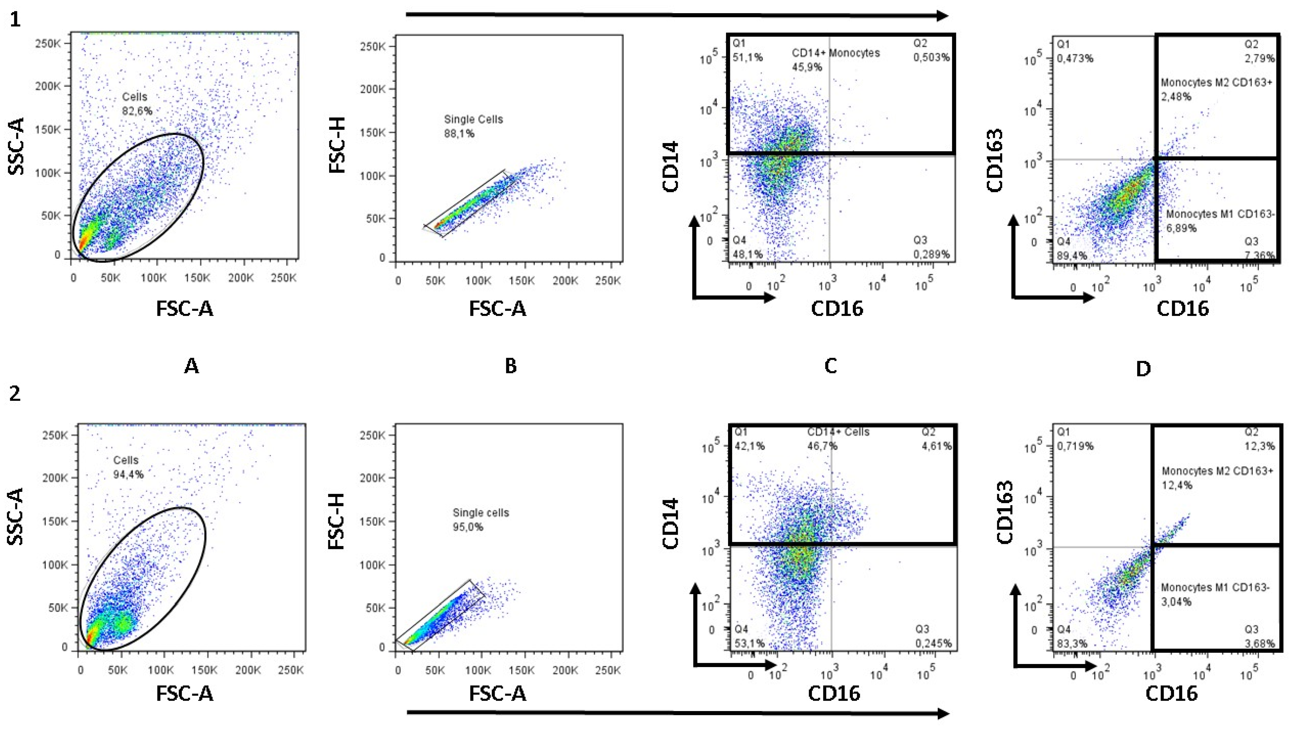 Biomolecules 11 01817 g006