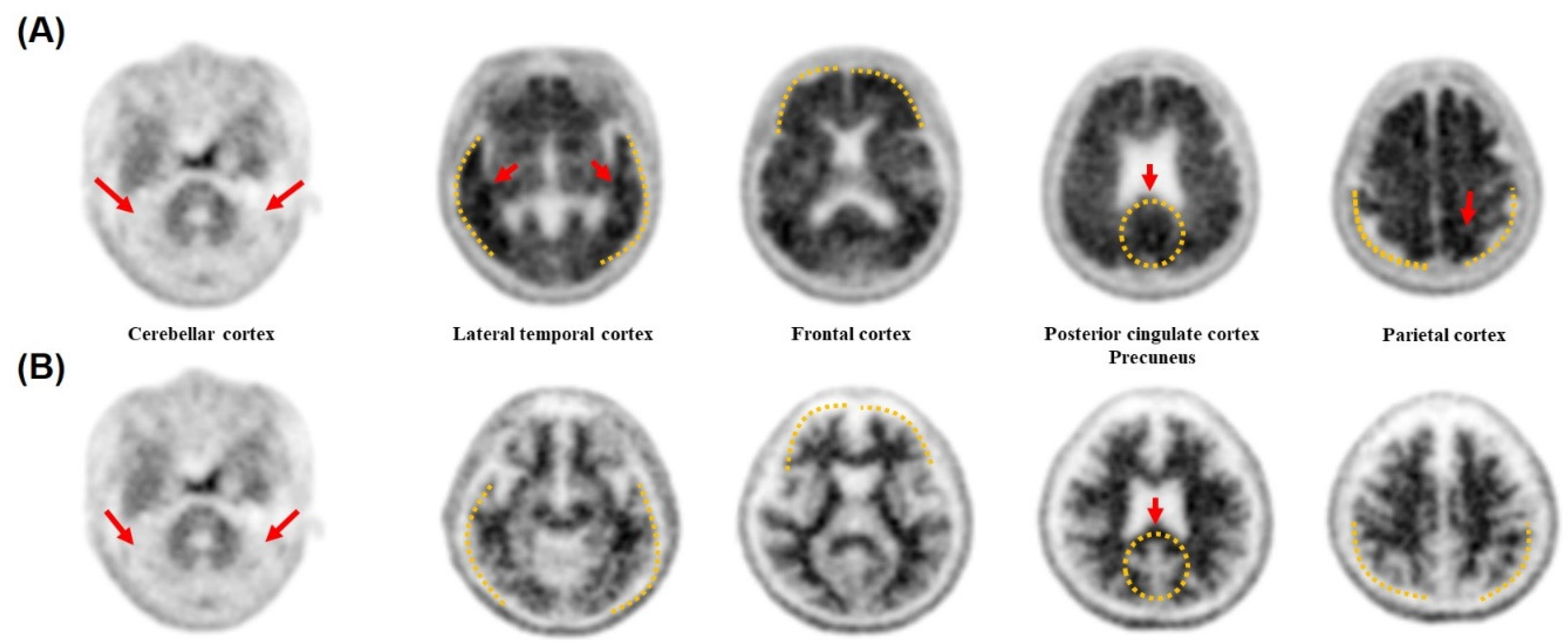 Biomolecules 11 01818 g006
