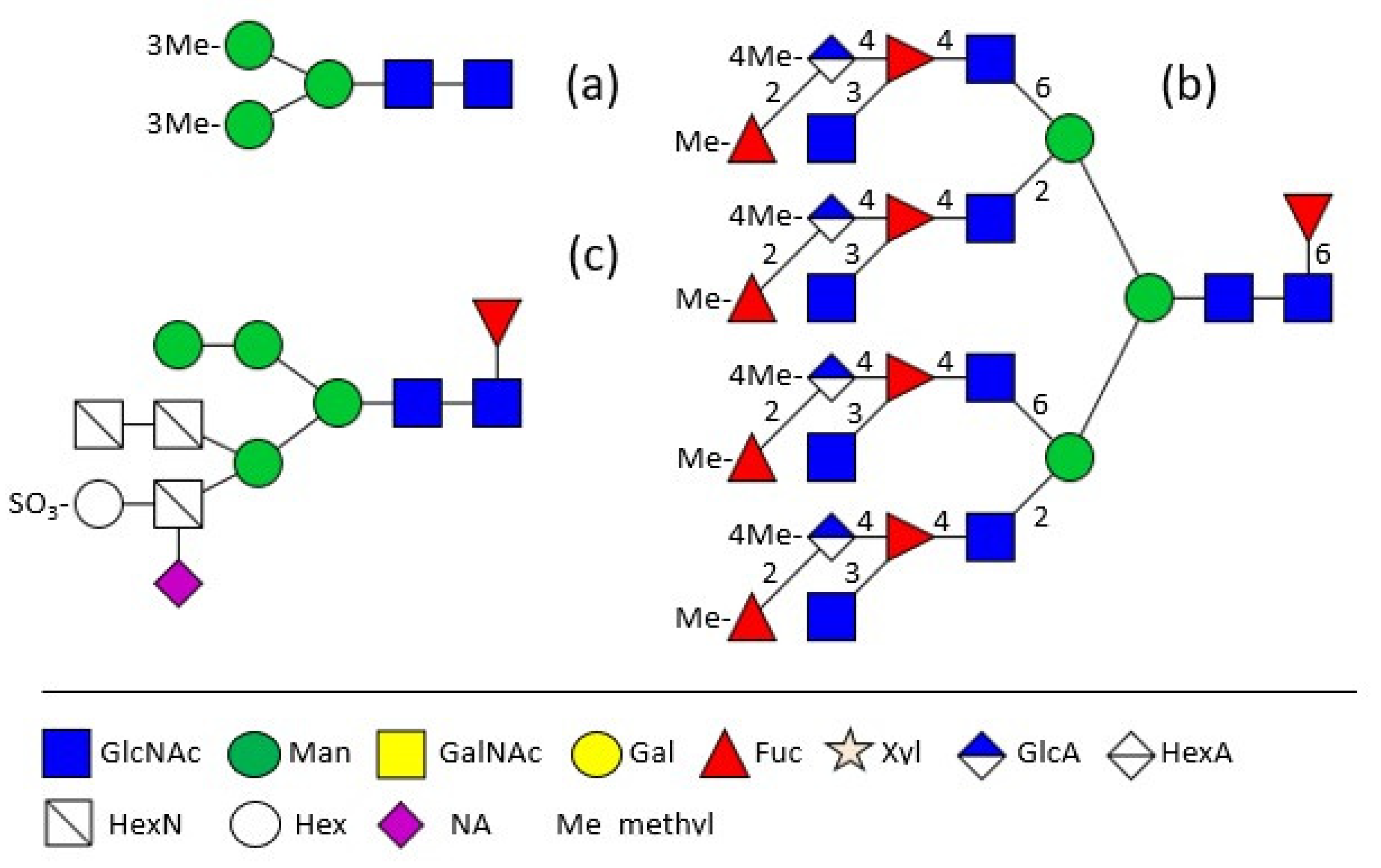 Biomolecules 11 01820 g001