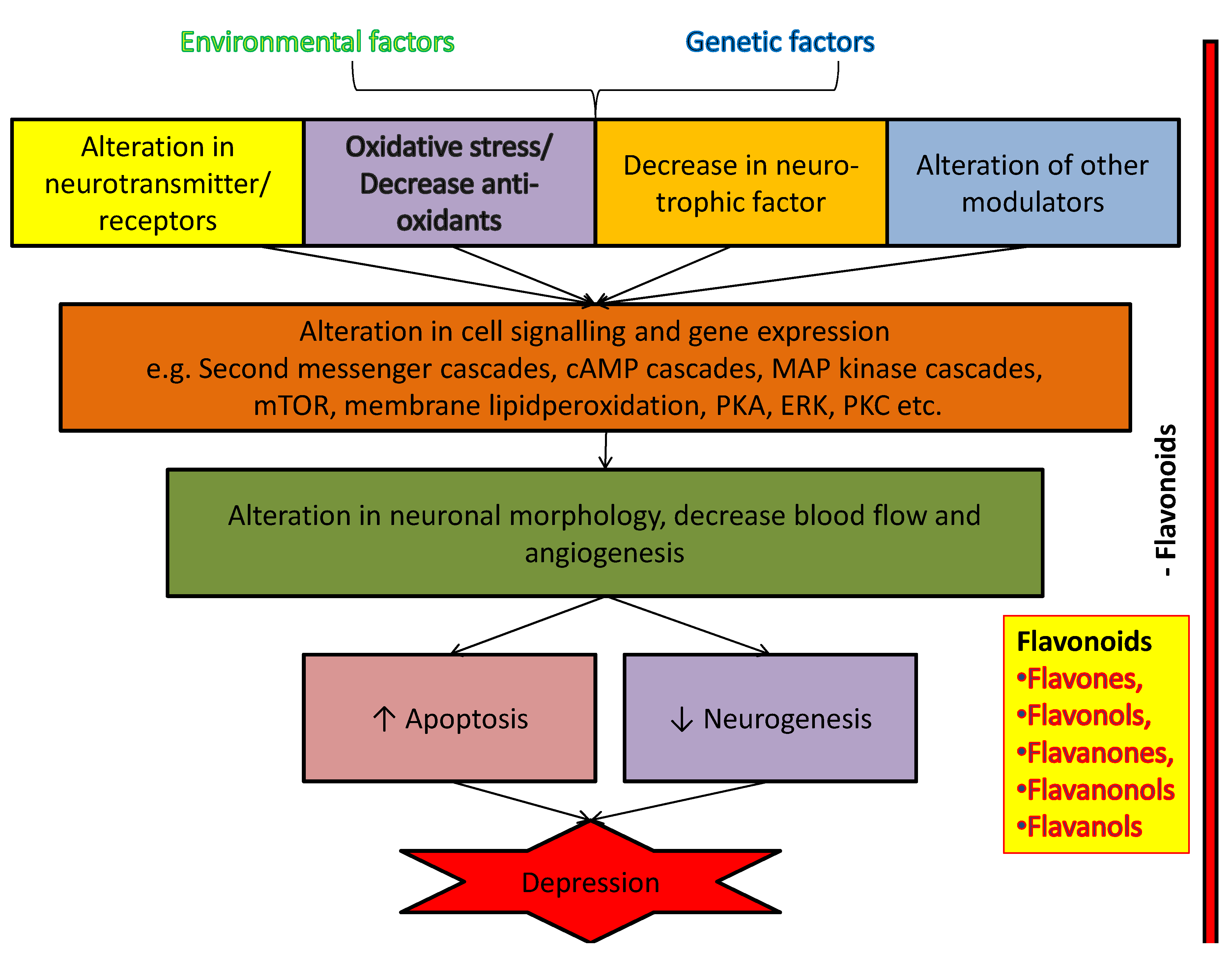 Biomolecules 11 01825 g046 Biomolecules 11 01825 g046