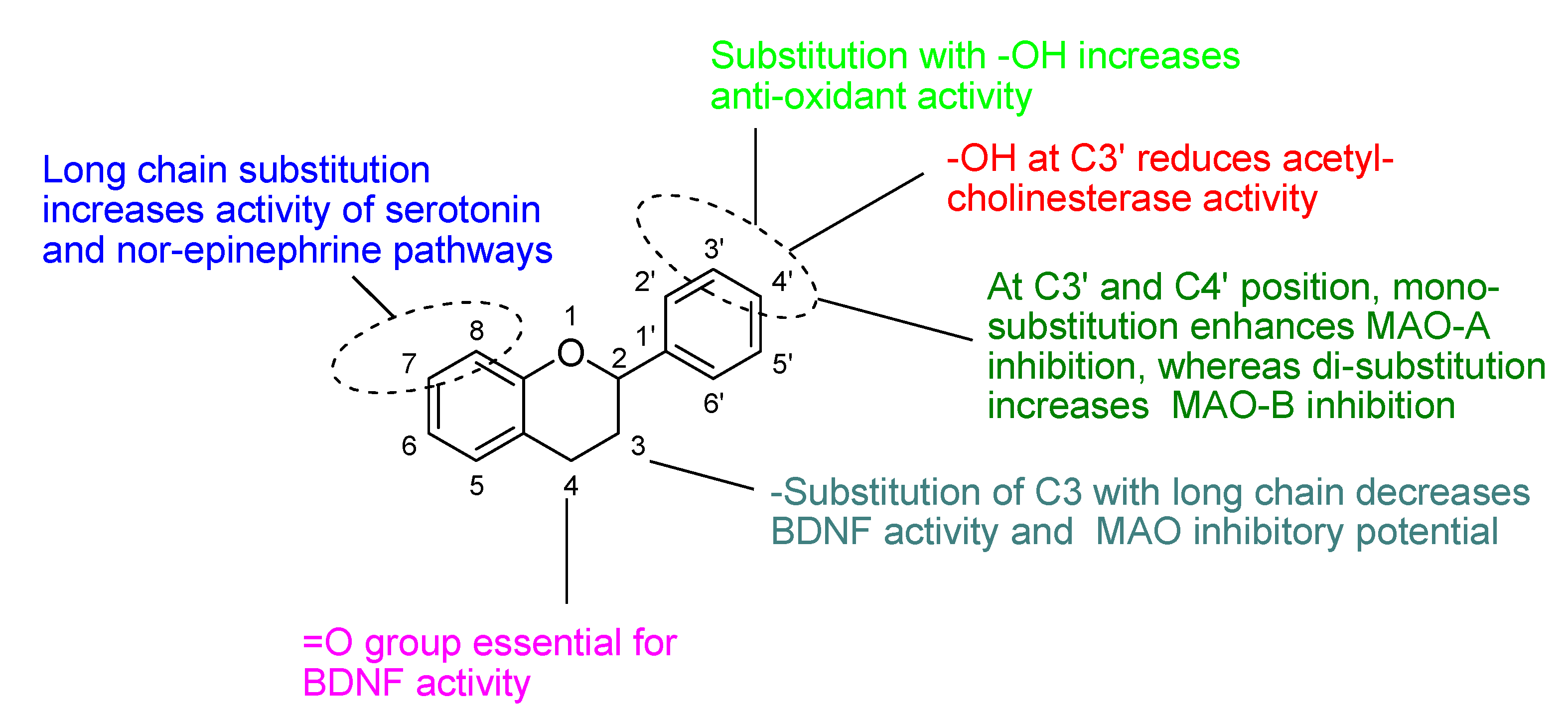 Biomolecules 11 01825 g053 Biomolecules 11 01825 g053