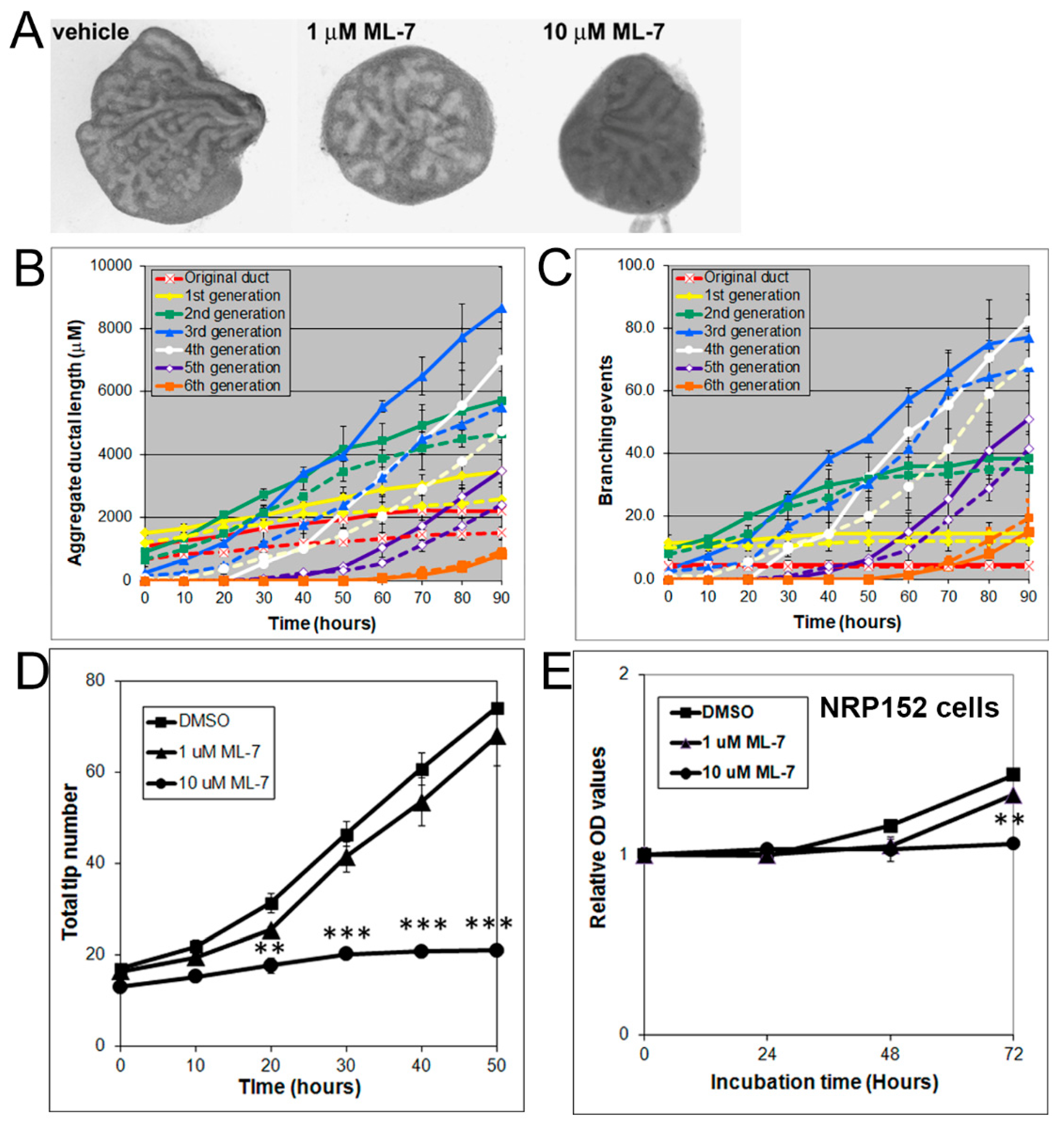 Biomolecules 11 01829 g006