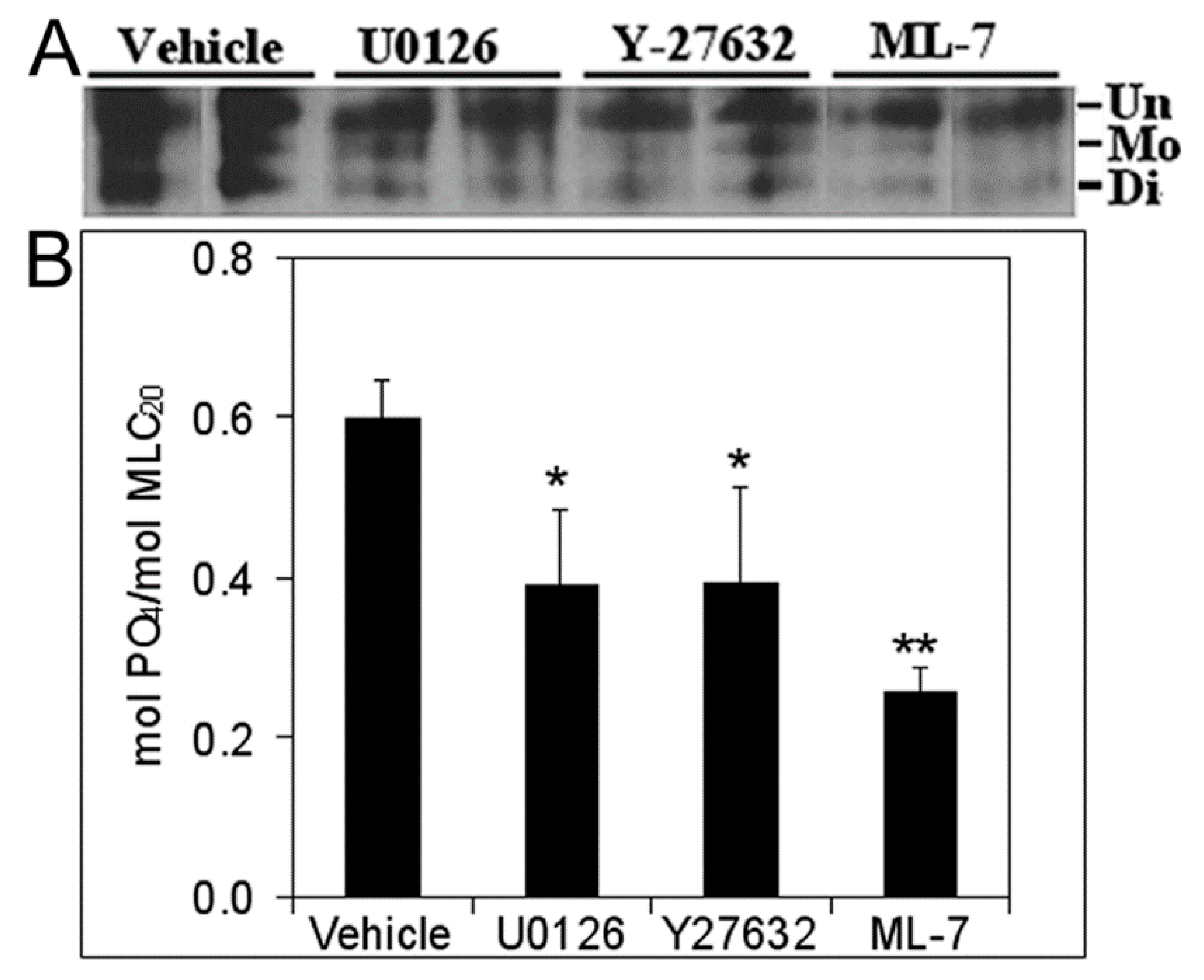 Biomolecules 11 01829 g007