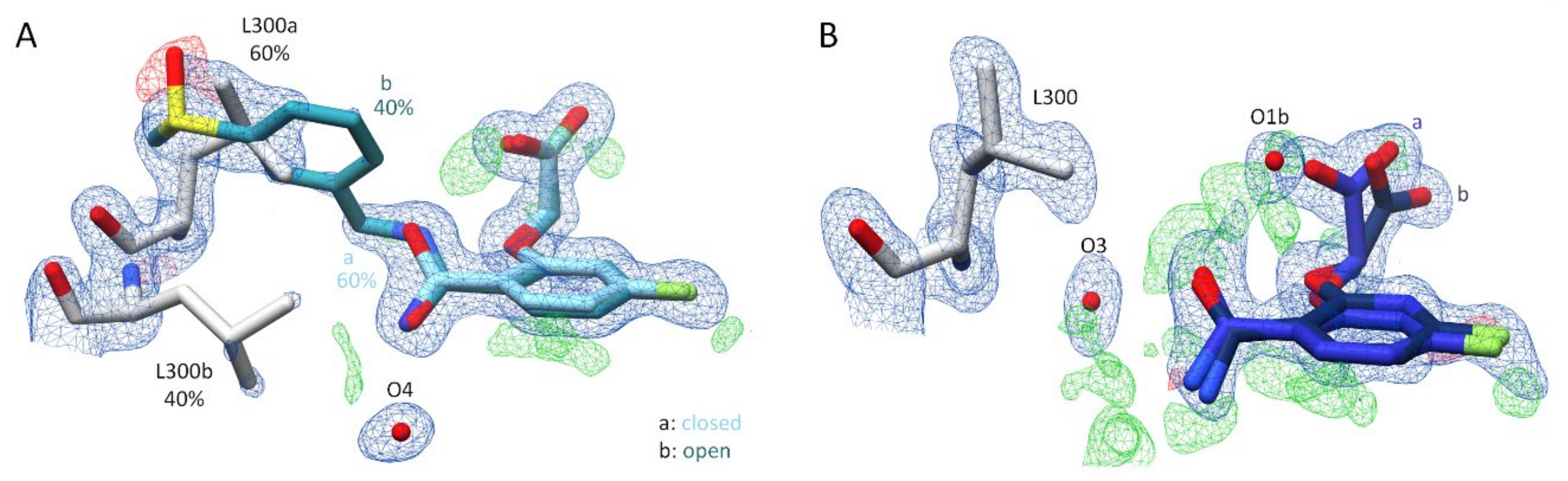 Biomolecules 11 01837 g006
