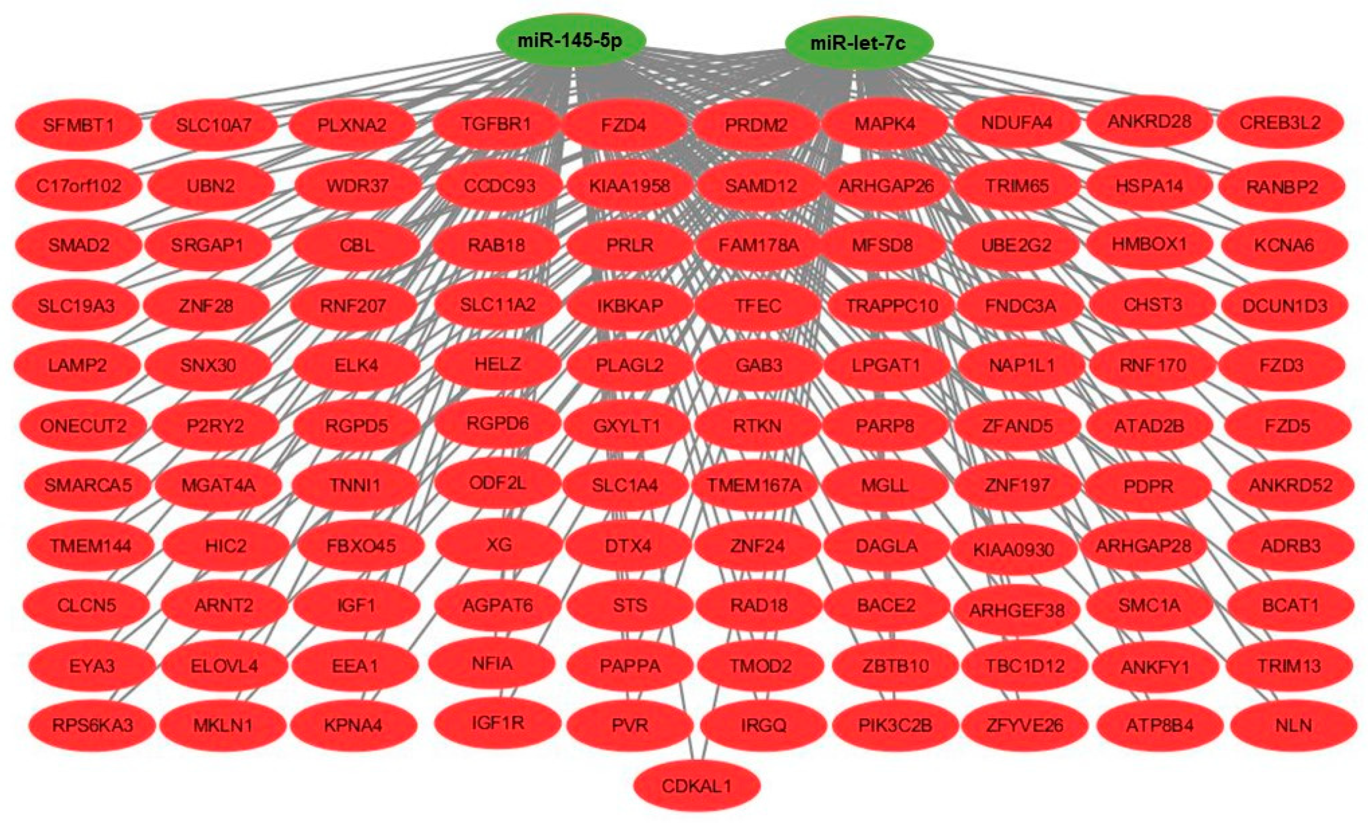 Biomolecules 11 01840 g003 Biomolecules 11 01840 g003