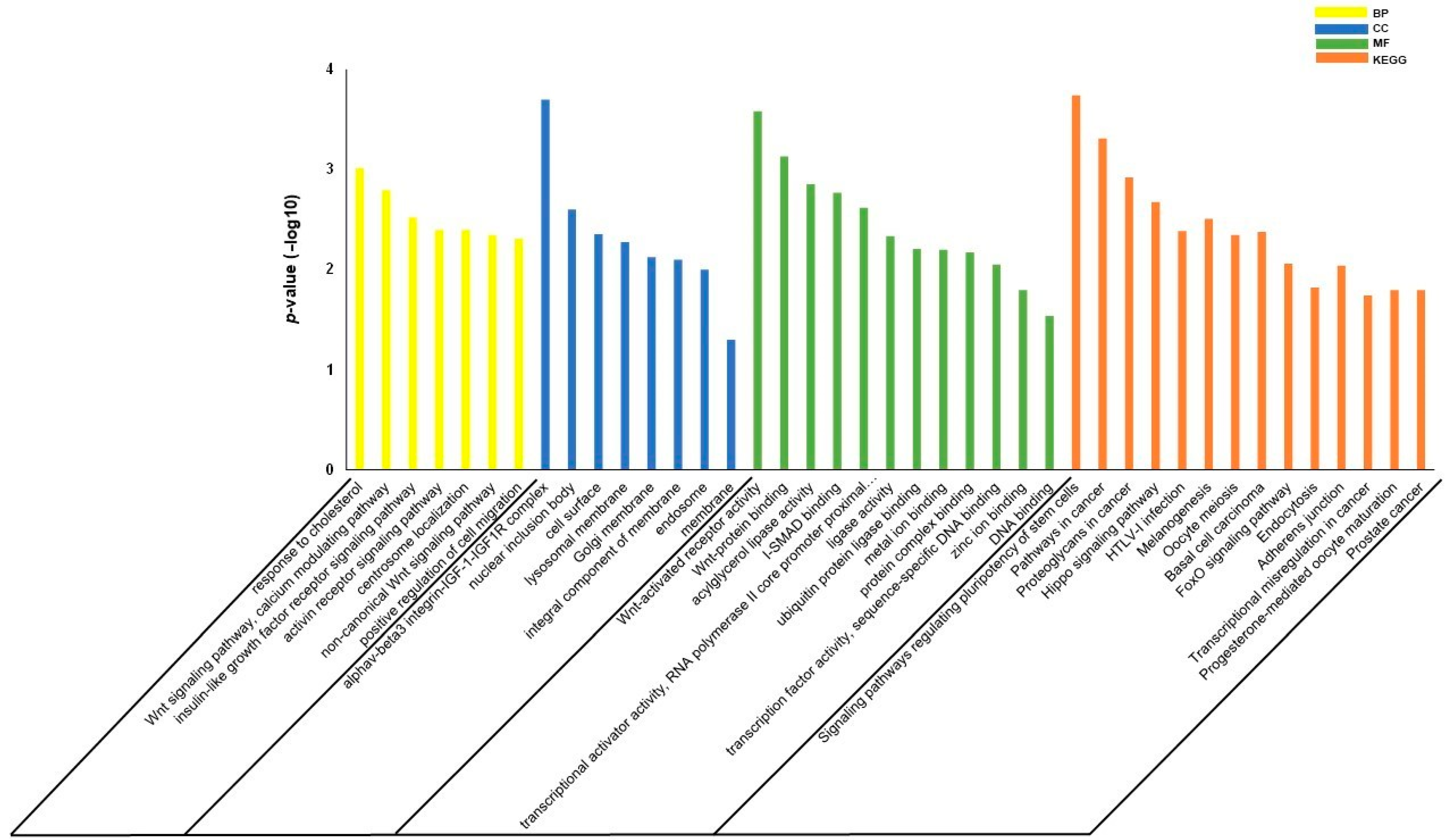 Biomolecules 11 01840 g004 Biomolecules 11 01840 g004