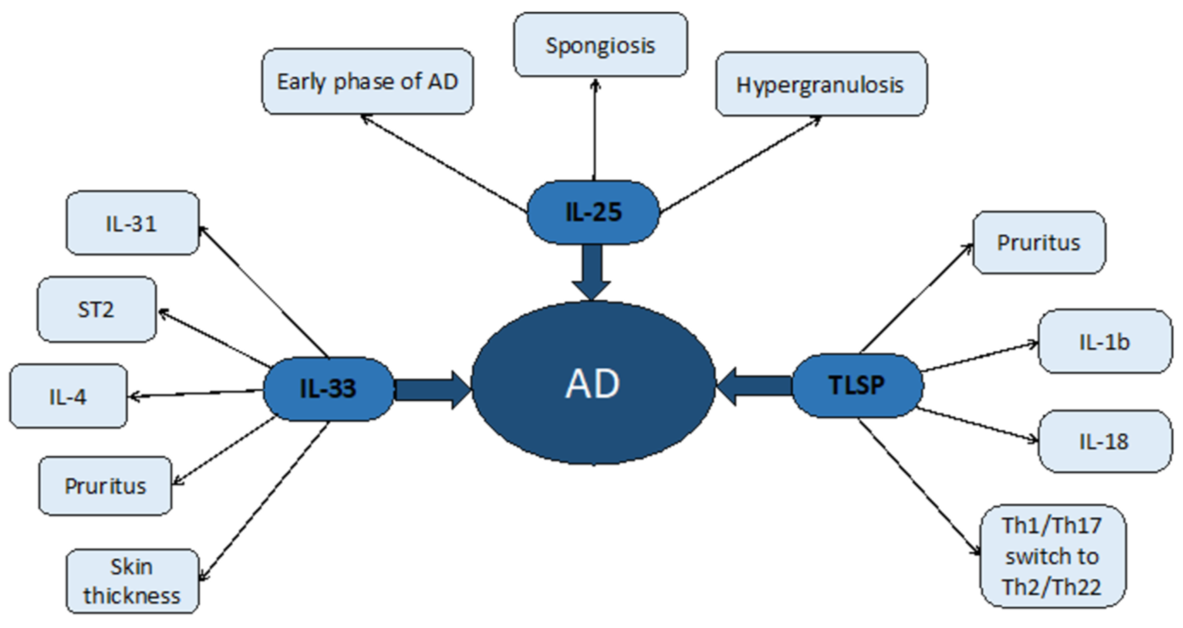 Biomolecules 11 01843 g002 Biomolecules 11 01843 g002