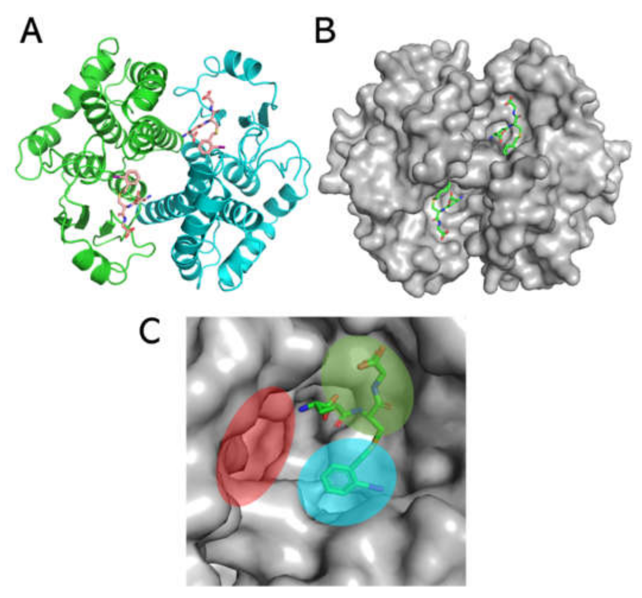 Biomolecules 11 01844 g008