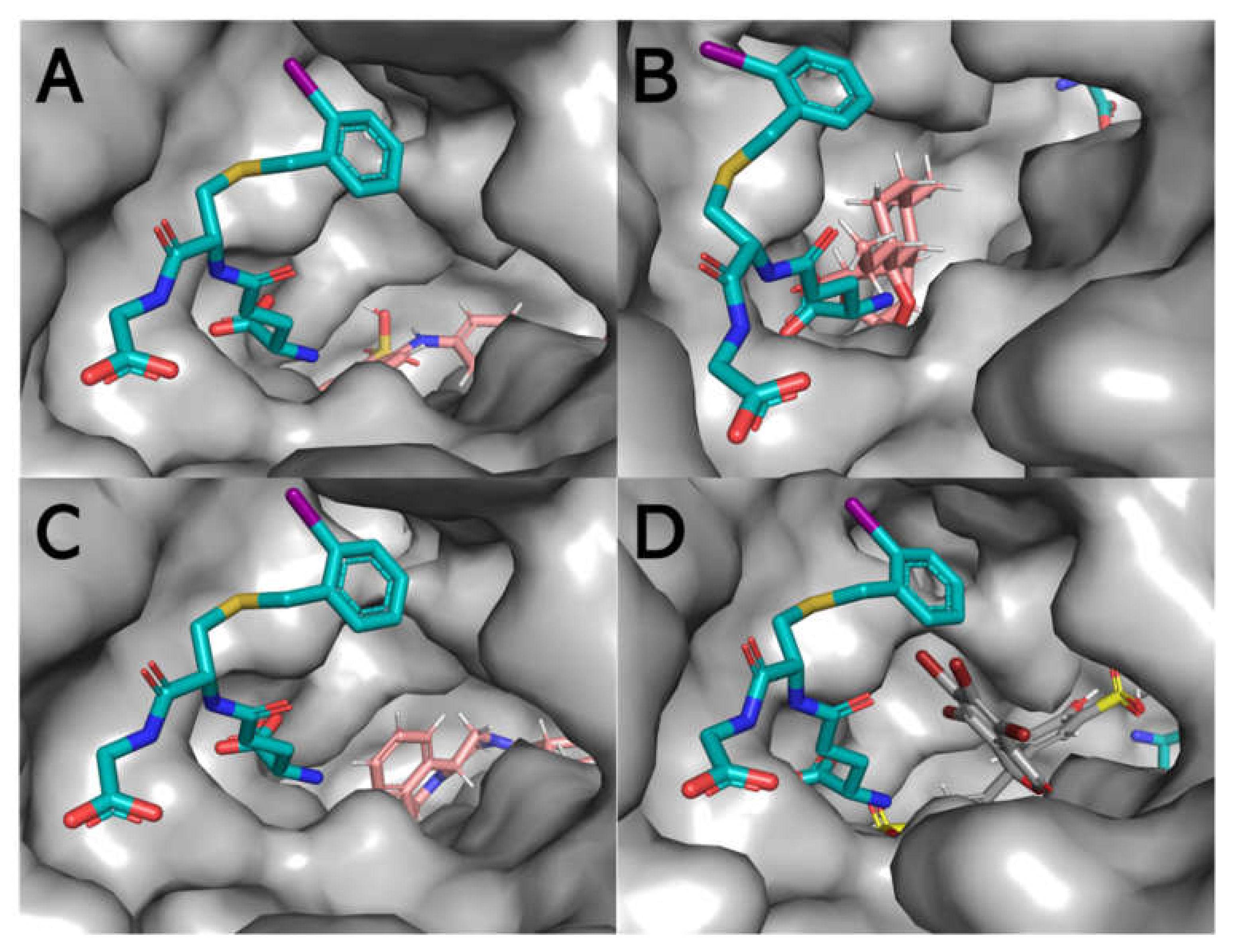 Biomolecules 11 01844 g010