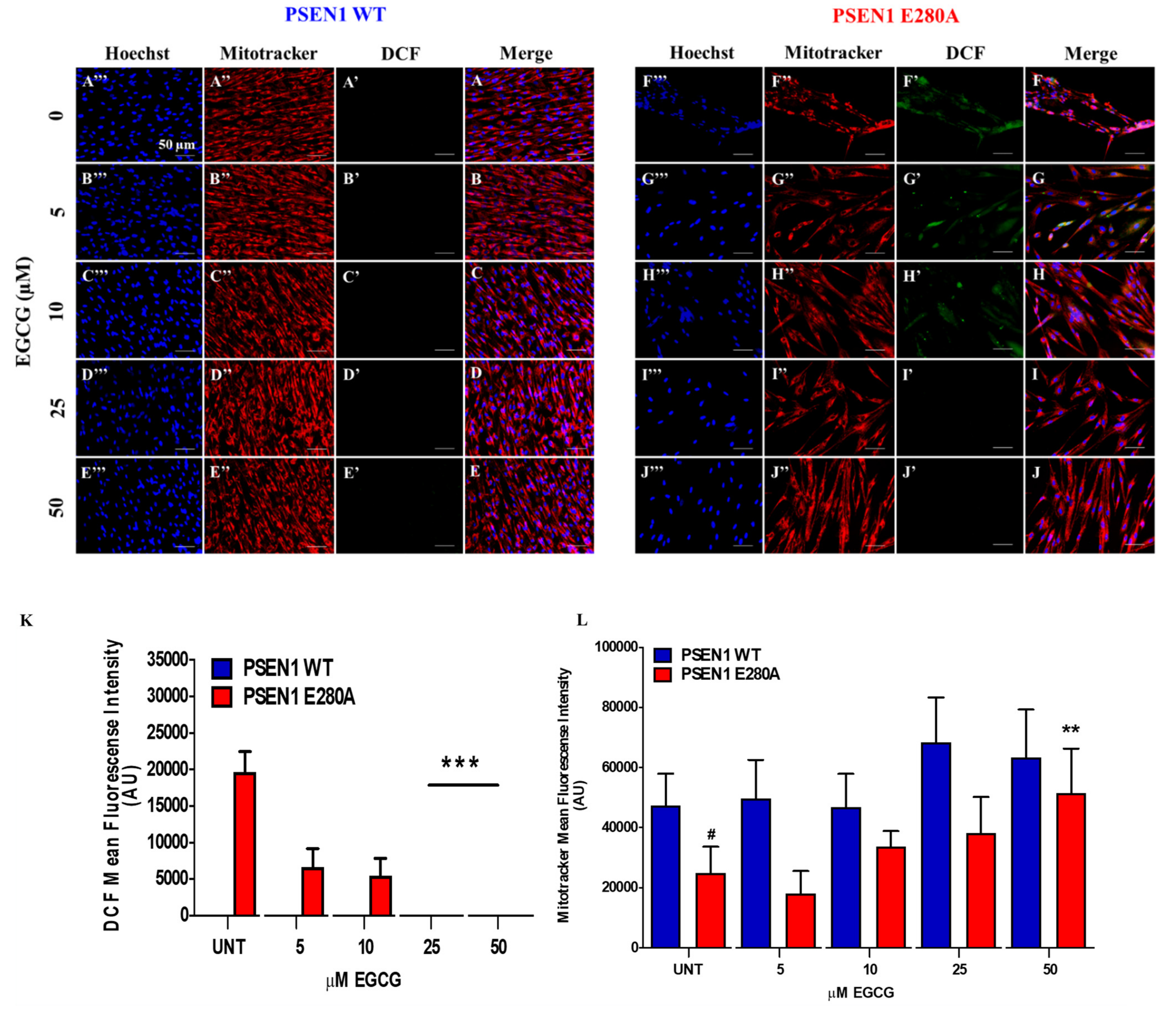 Biomolecules 11 01845 g001 550