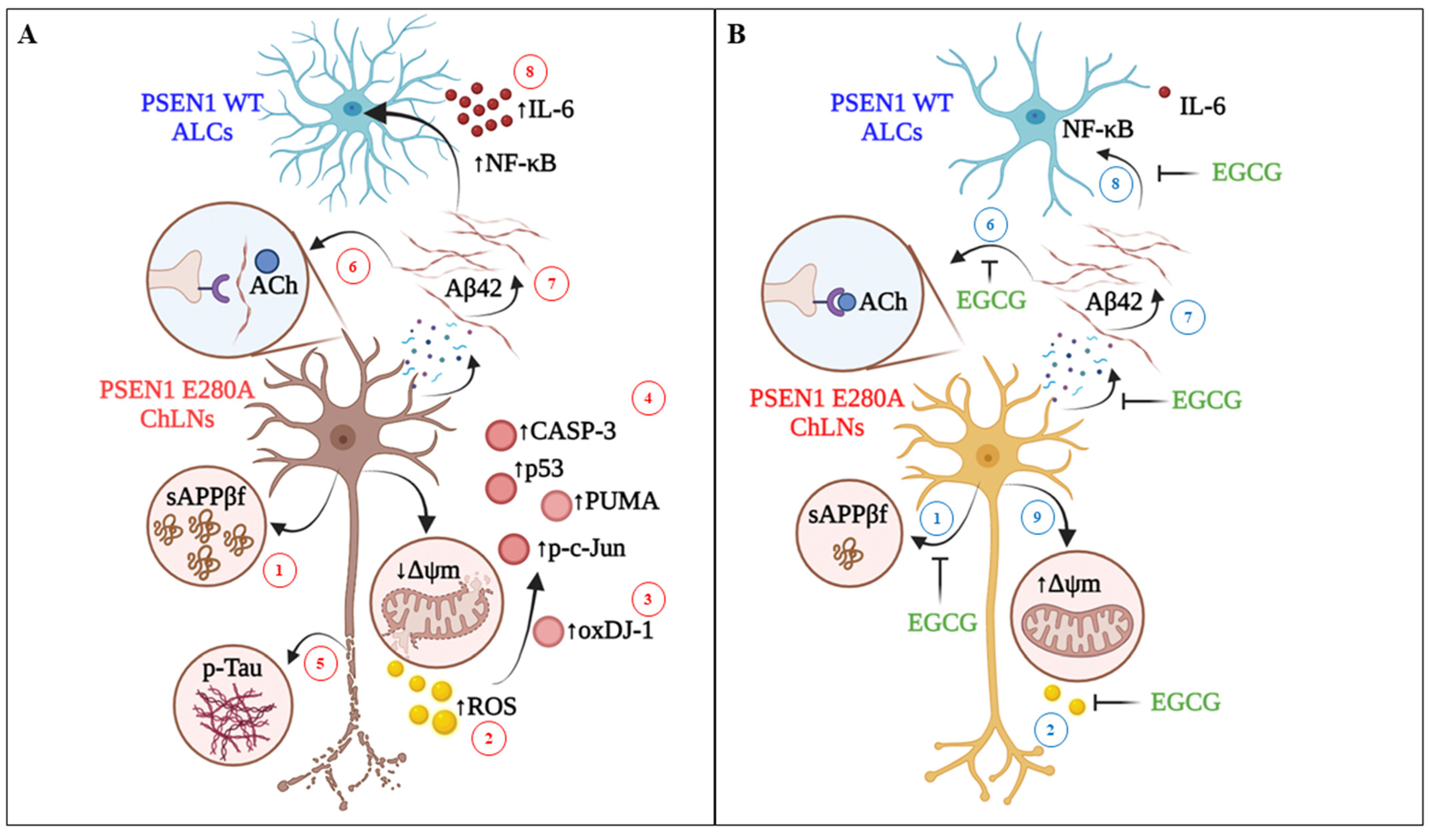 Biomolecules 11 01845 g008 550