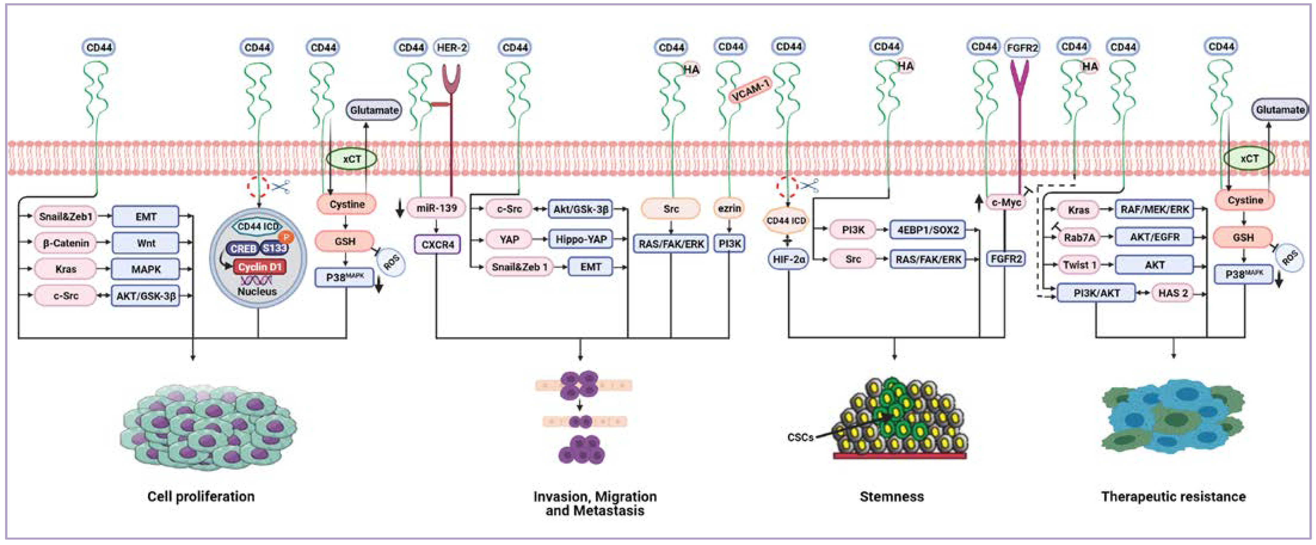 Biomolecules 11 01850 g005 Biomolecules 11 01850 g005