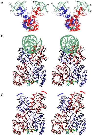 Ca4 Cyclic Tetra-Adenylate (cA4) Recognition by Csa3; Implications for an ...