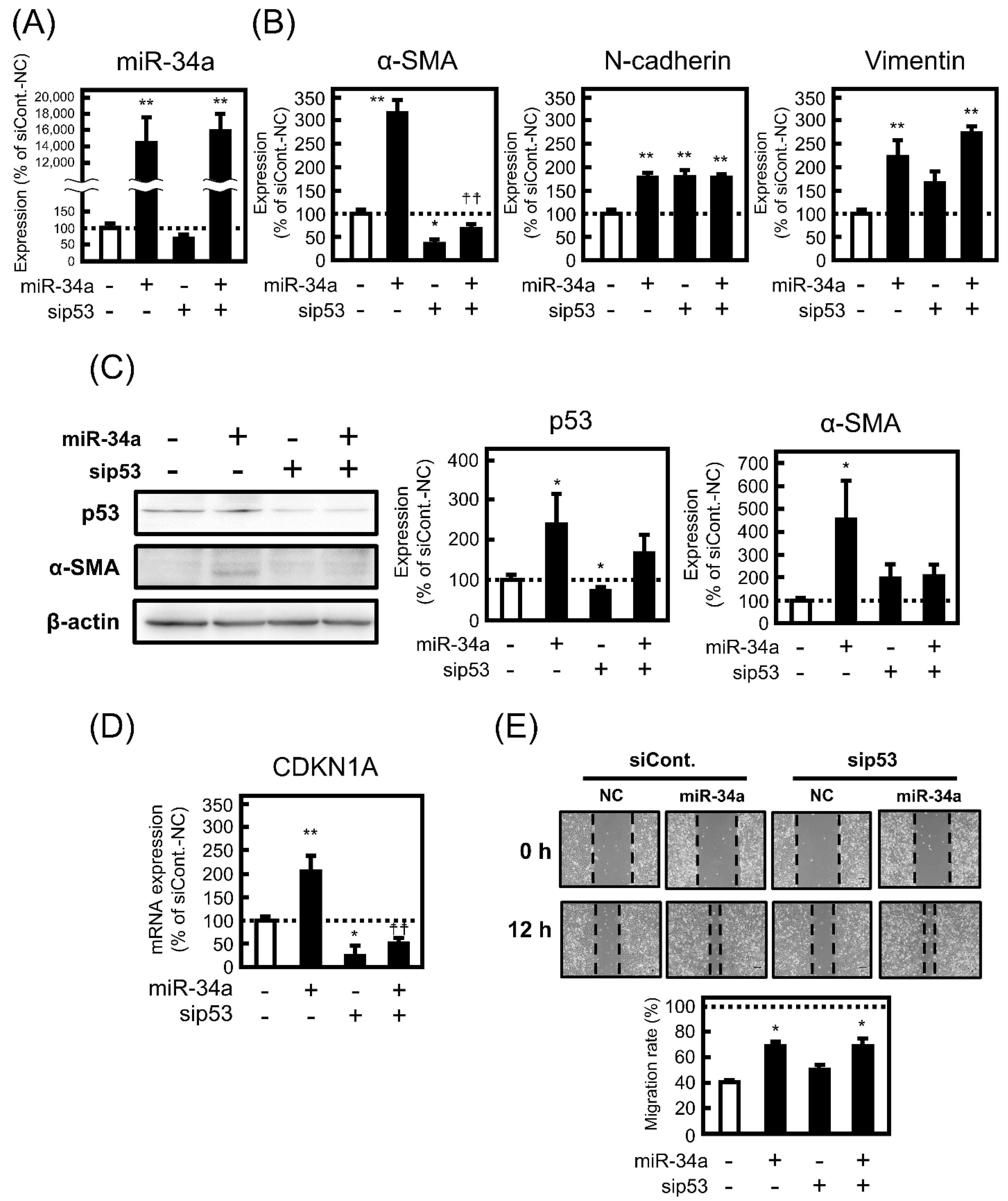 Biomolecules 11 01853 g004 550