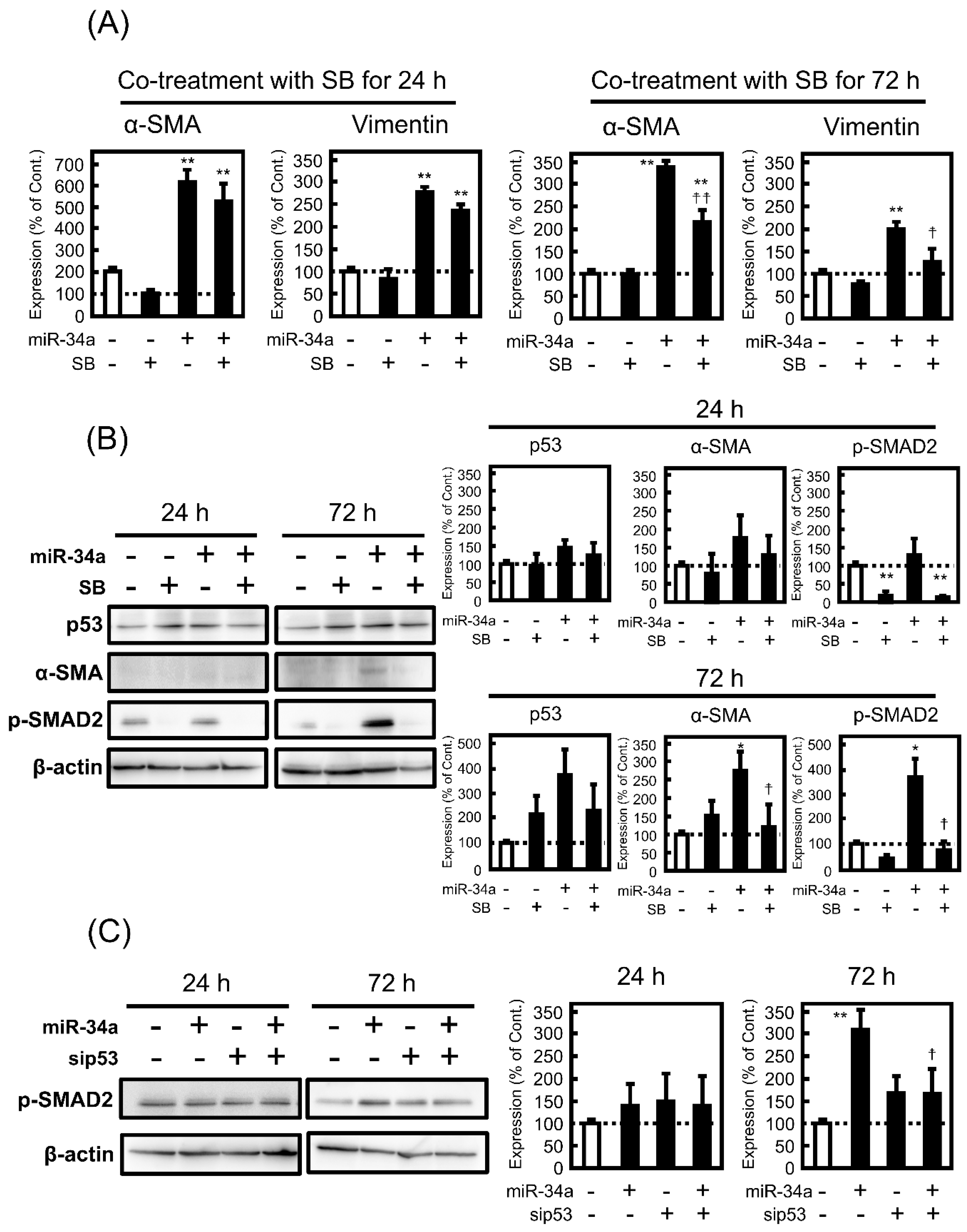 Biomolecules 11 01853 g006 550