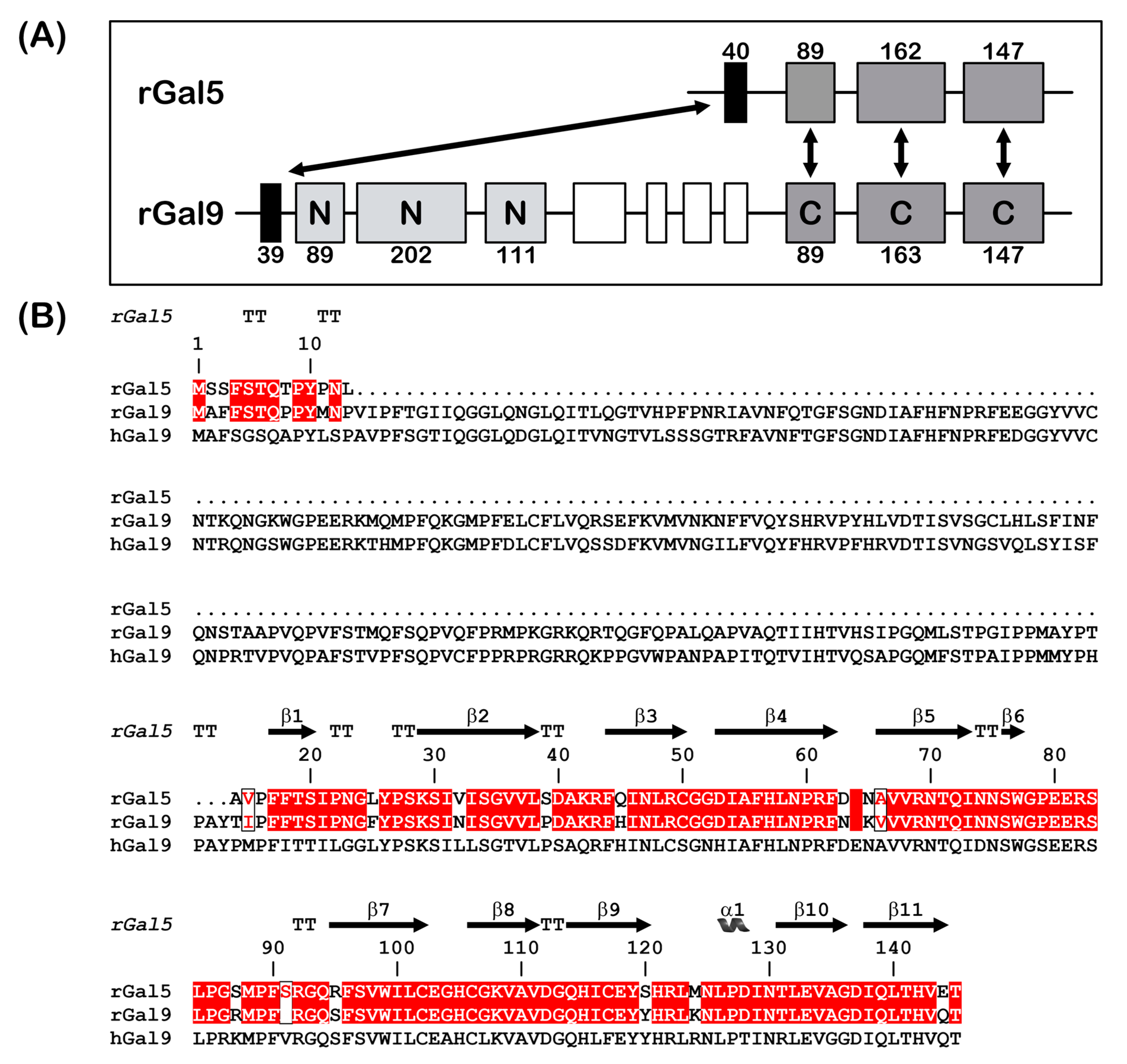 Biomolecules 11 01854 g001 Biomolecules 11 01854 g001