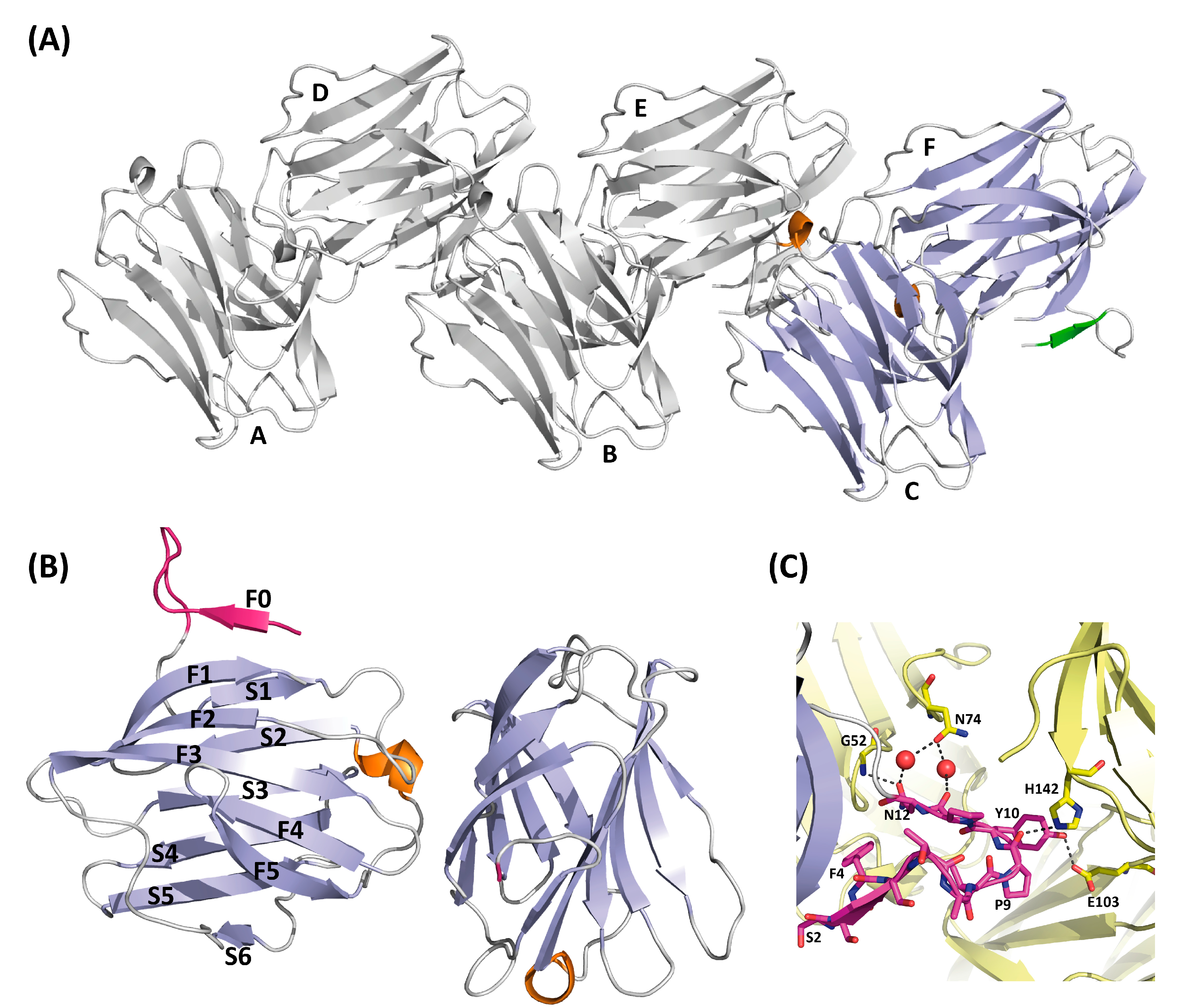 Biomolecules 11 01854 g003 Biomolecules 11 01854 g003