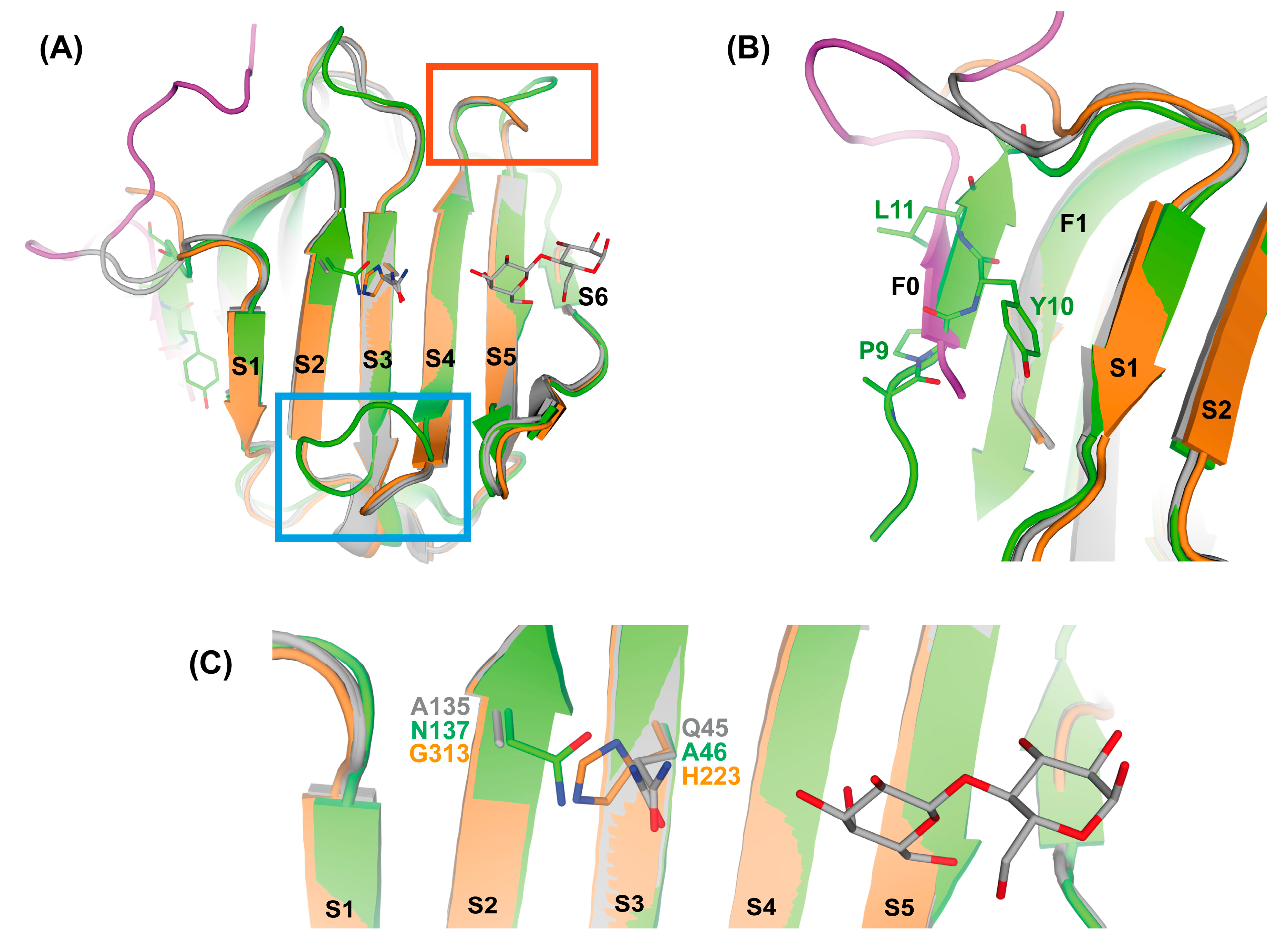 Biomolecules 11 01854 g007 Biomolecules 11 01854 g007
