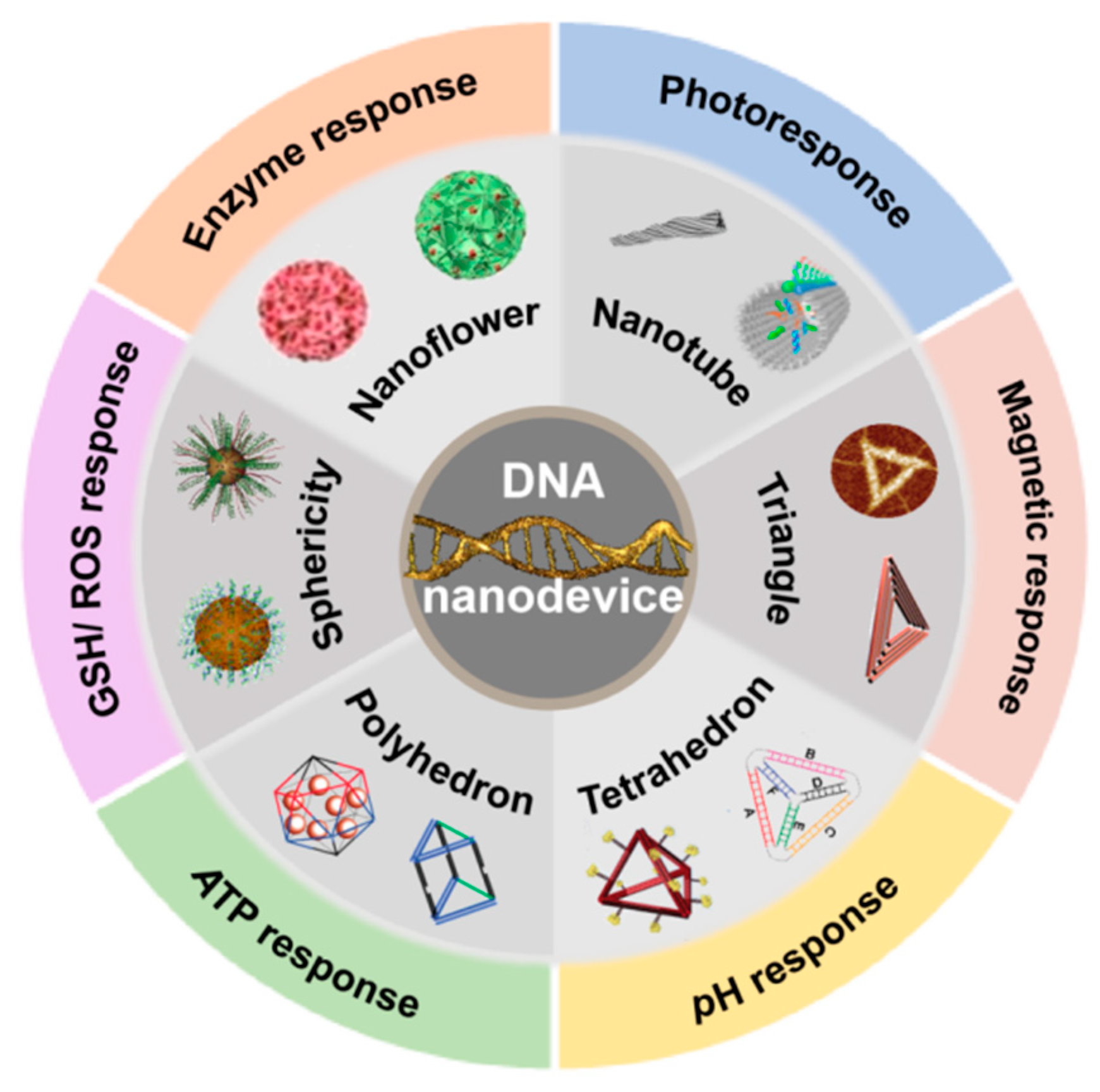 Biomolecules | Free Full-Text | DNA Nanodevice-Based Drug Delivery Systems