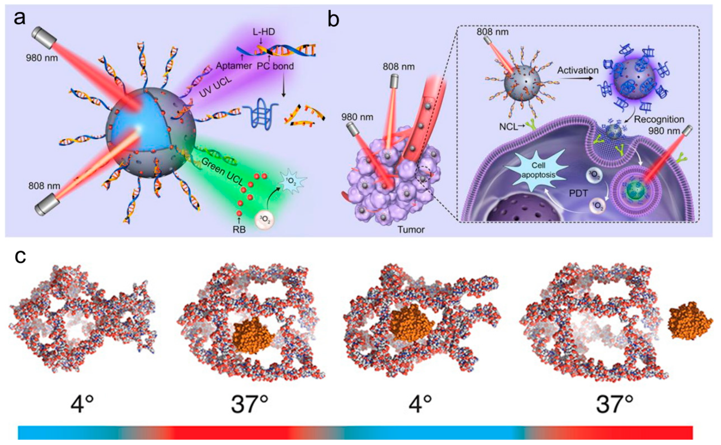 Biomolecules 11 01855 g008