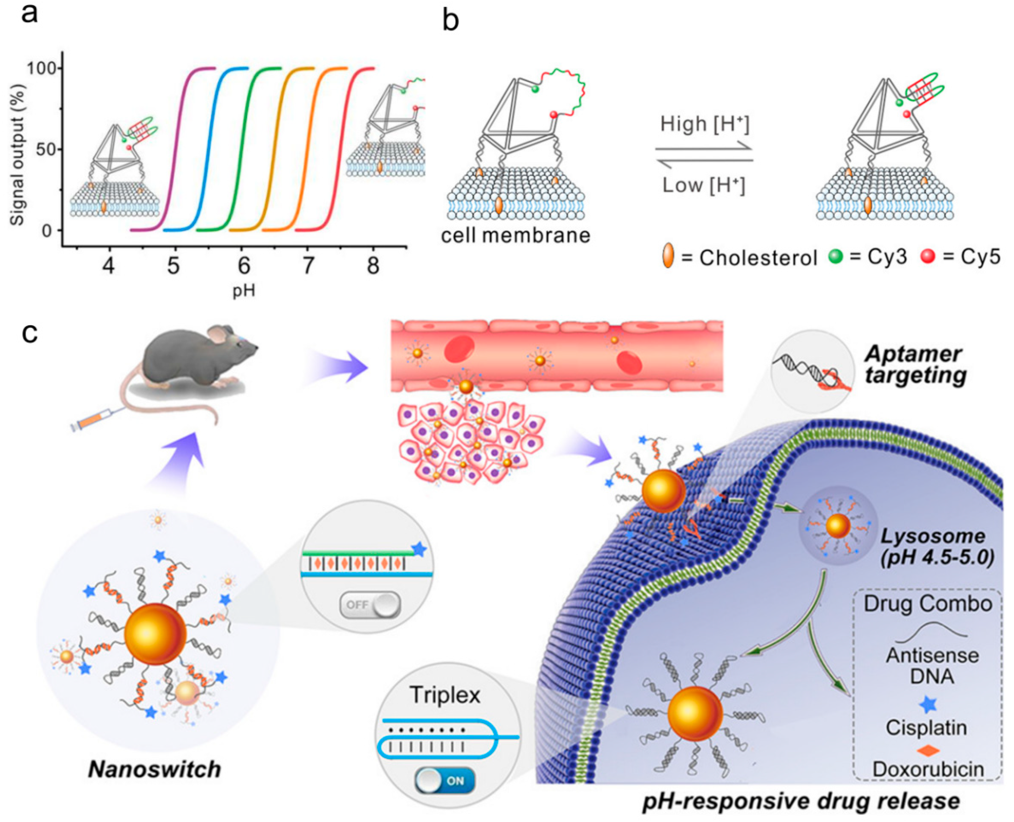 Biomolecules 11 01855 g009