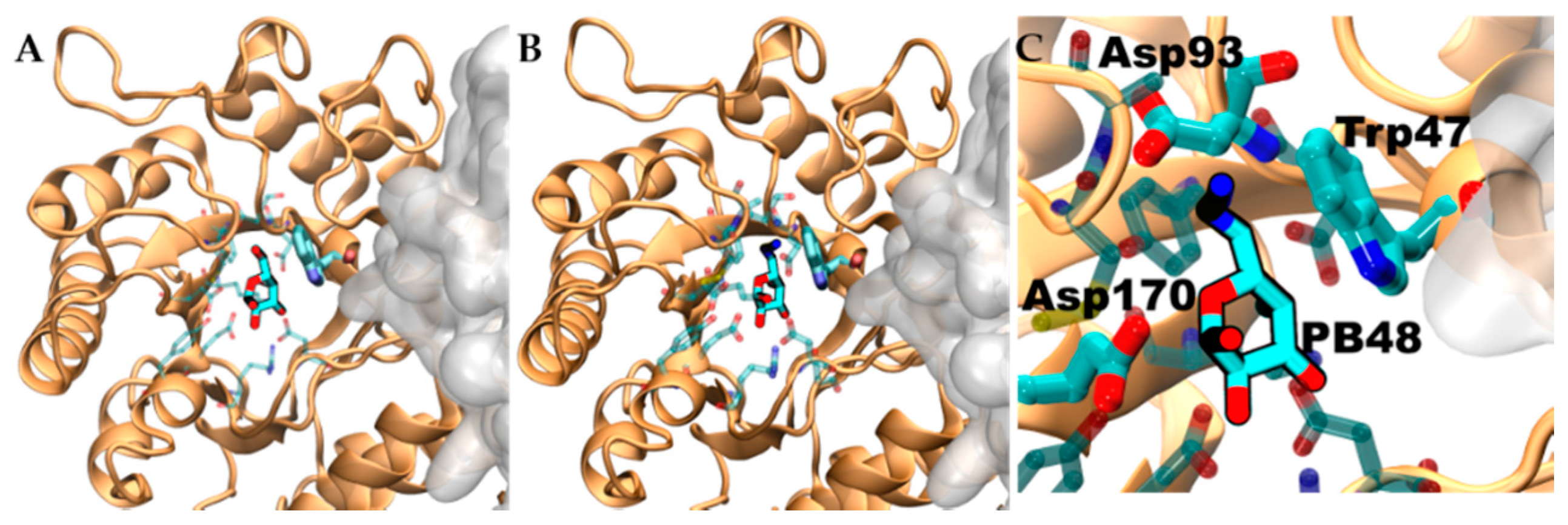 Biomolecules 11 01856 g006